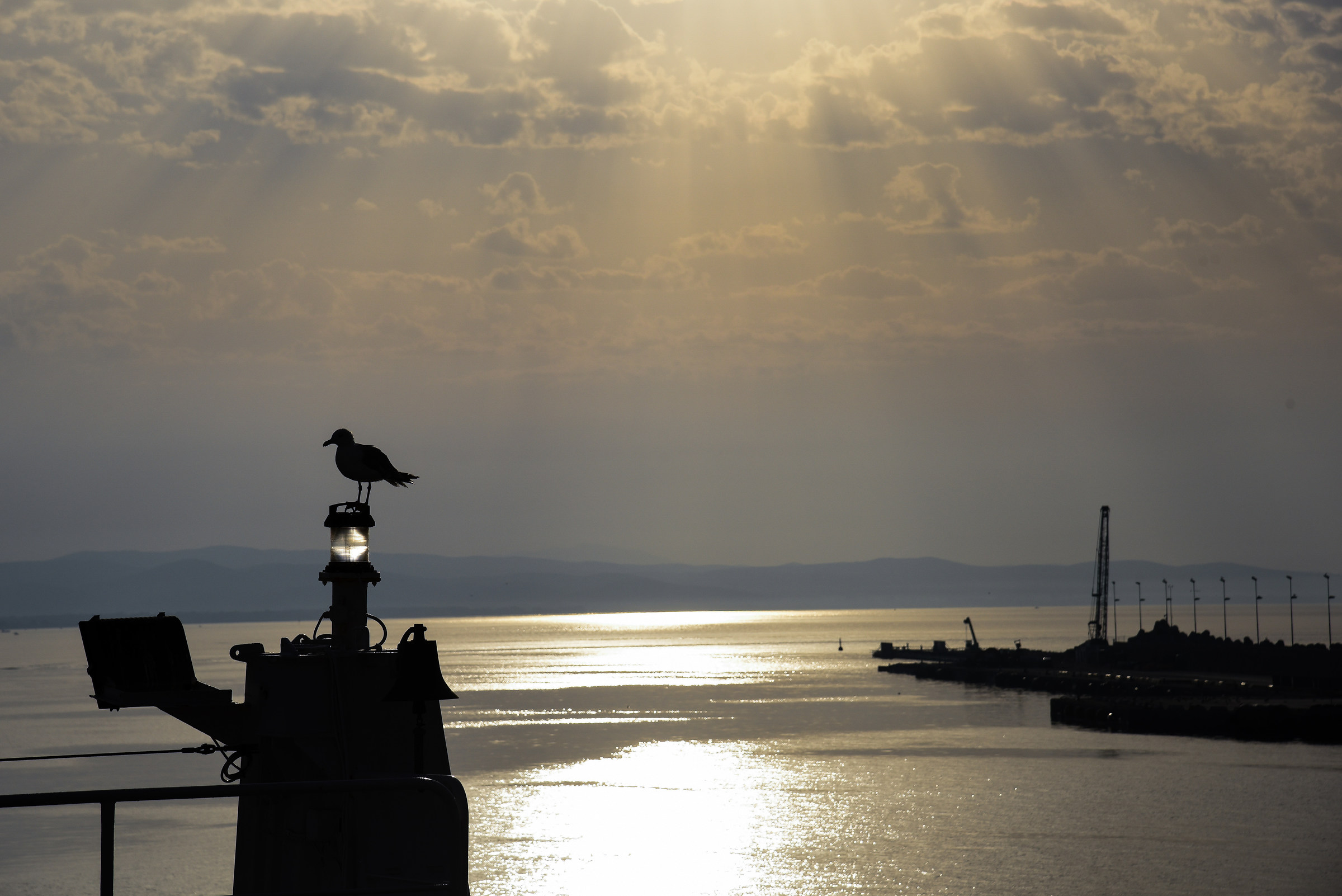 the light and the seagull