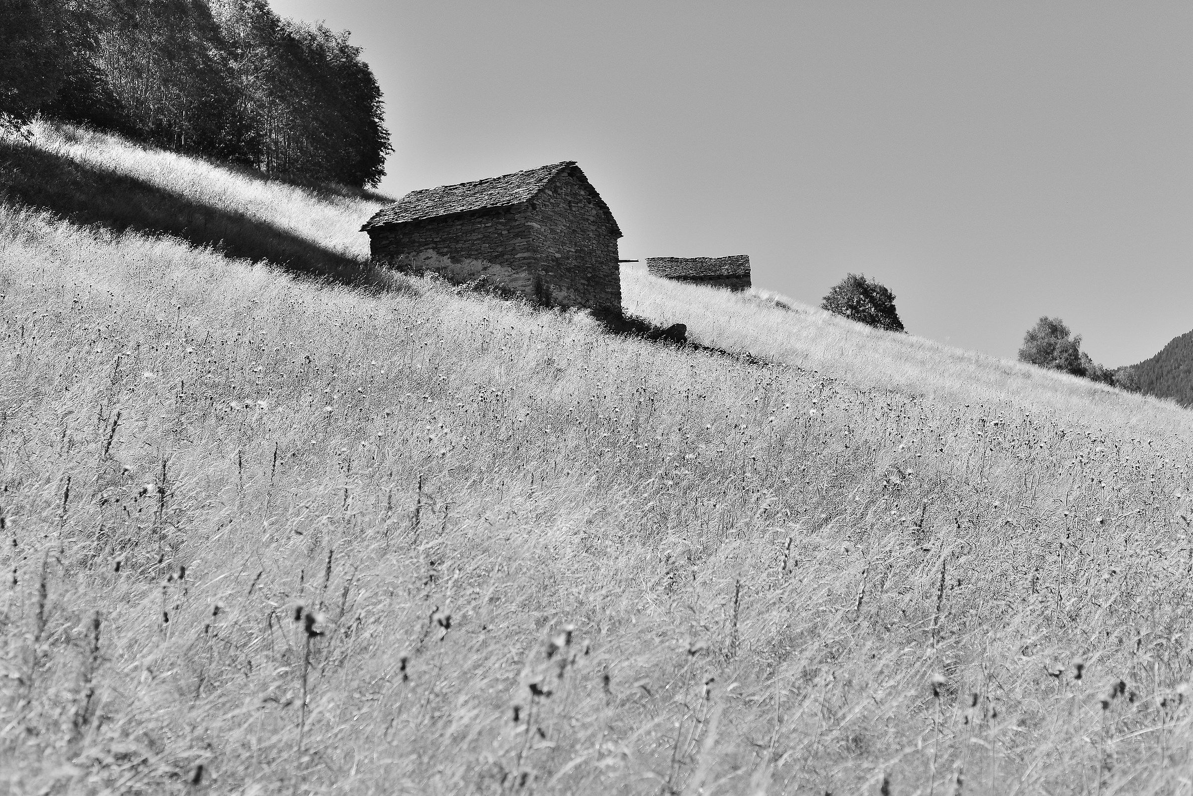 Prati sopra Lasciallo