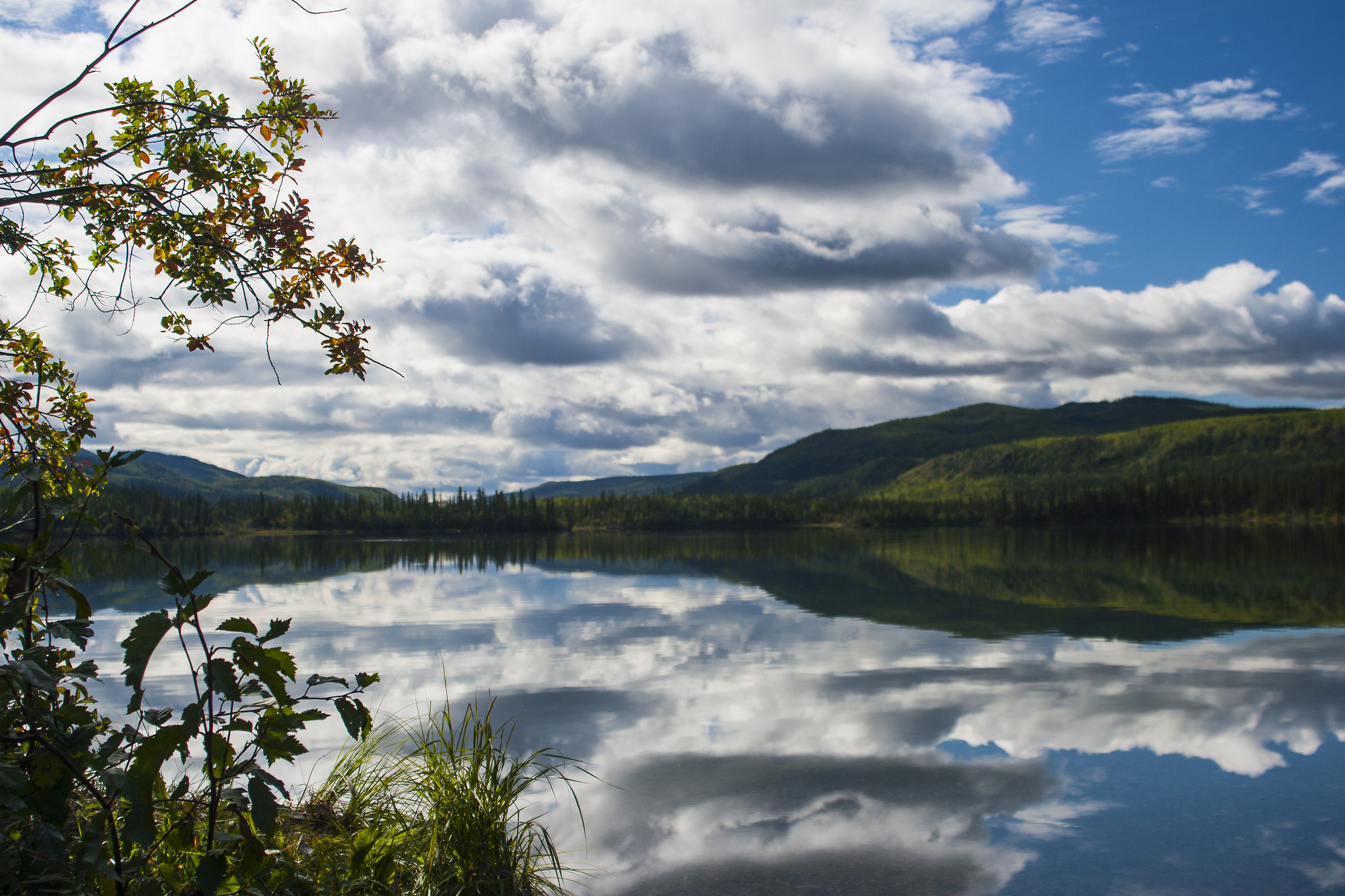 Portage - Alaska - Stati Uniti