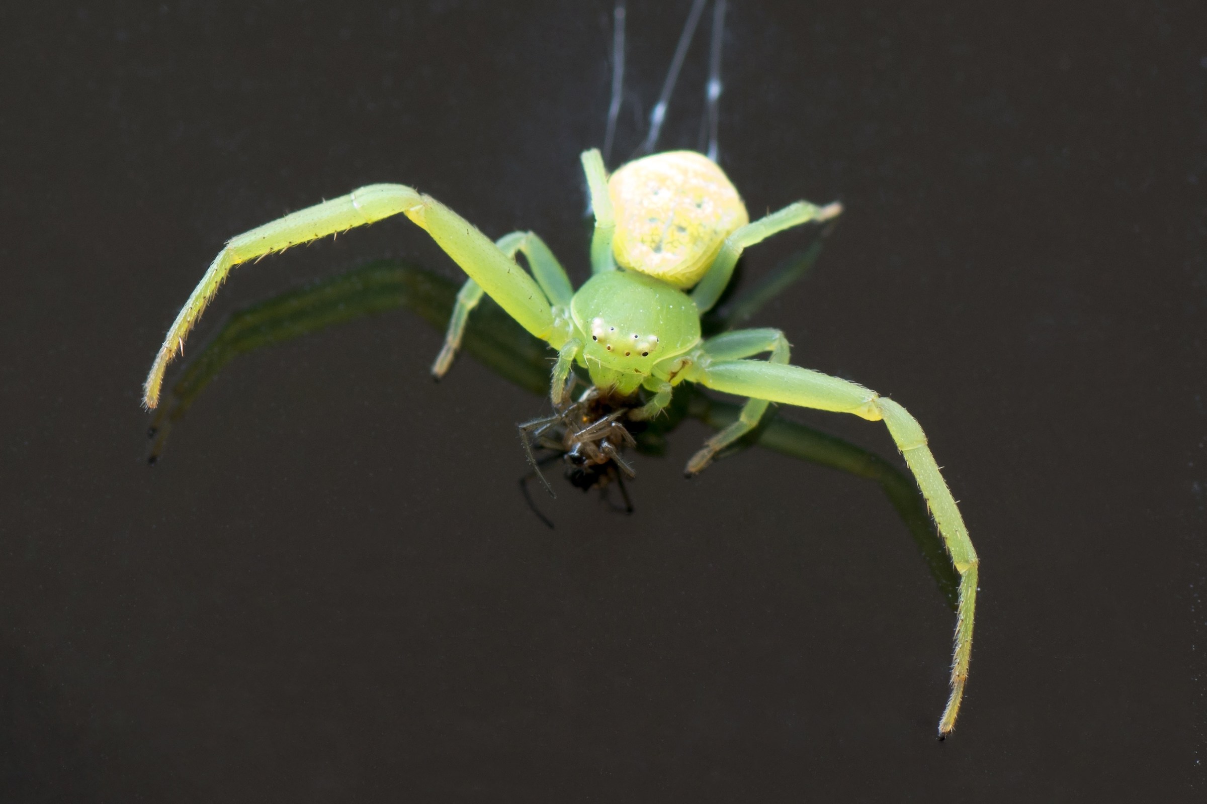 Finally you eat ... hoping not to slip ...