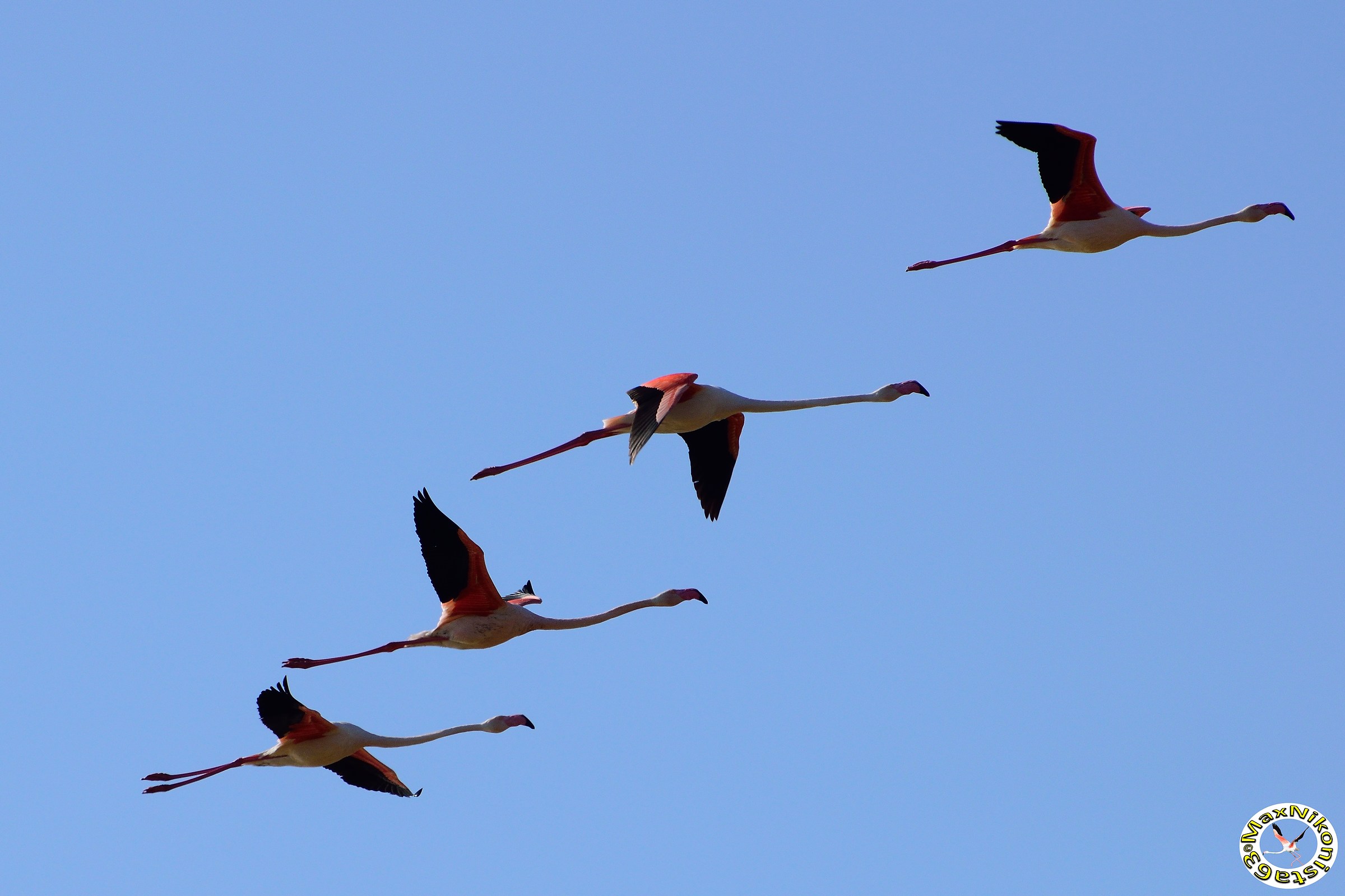 Formation flying, light backlighting