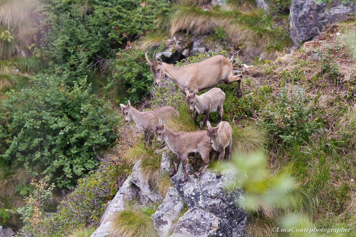 la maestra con gli alievi