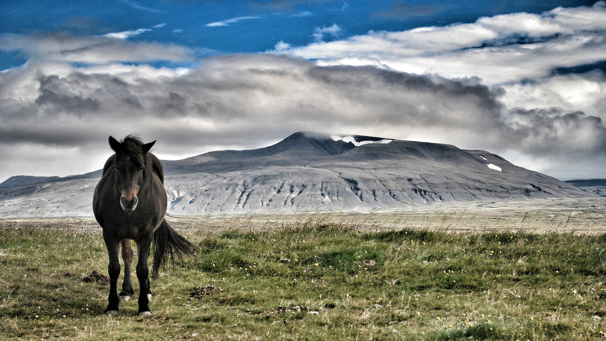 The horse and the vulcan