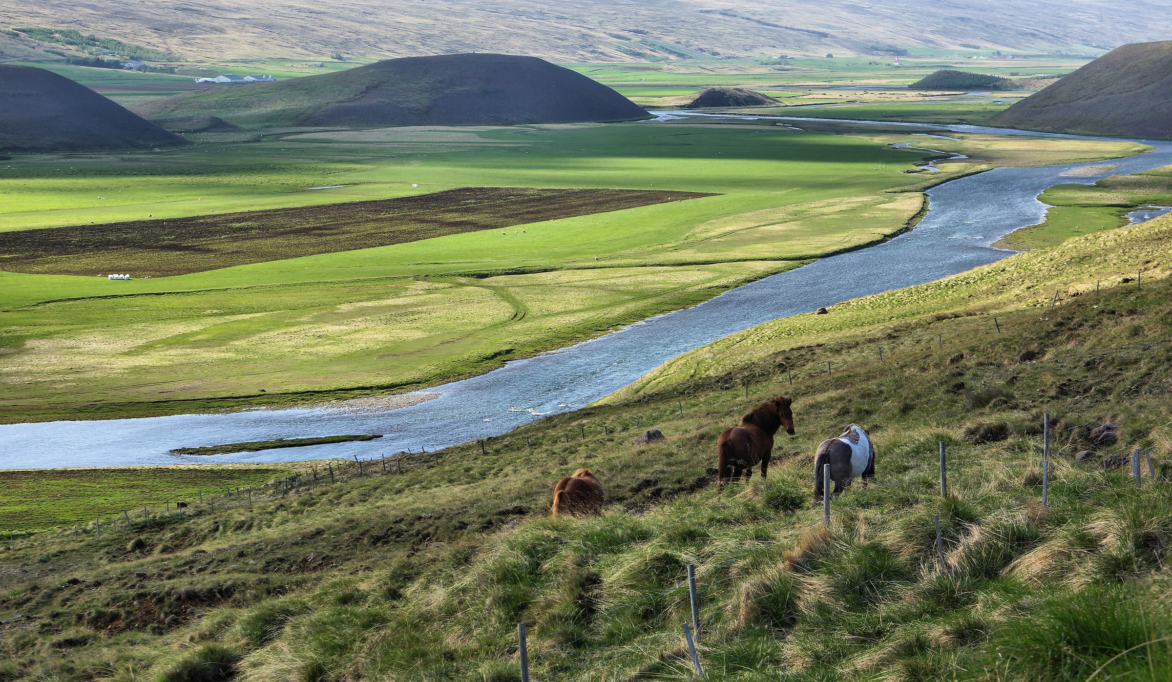 Where the river flows.