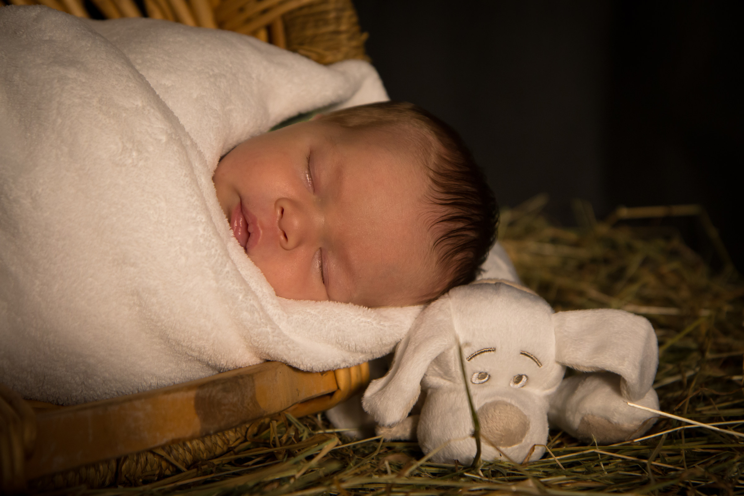 La mia modella - Layla