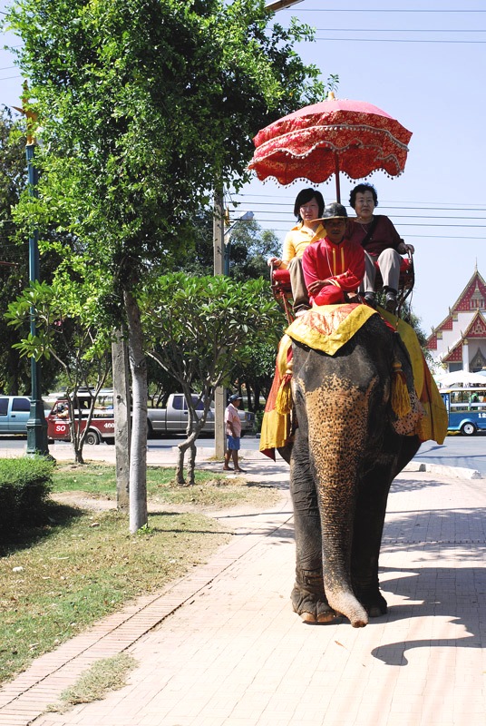 Mezzi di trasporto 2