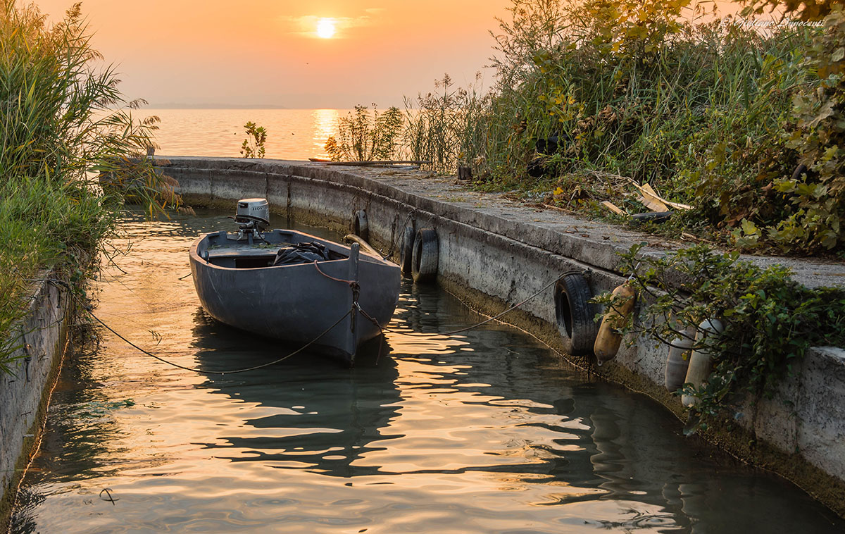 the small marina