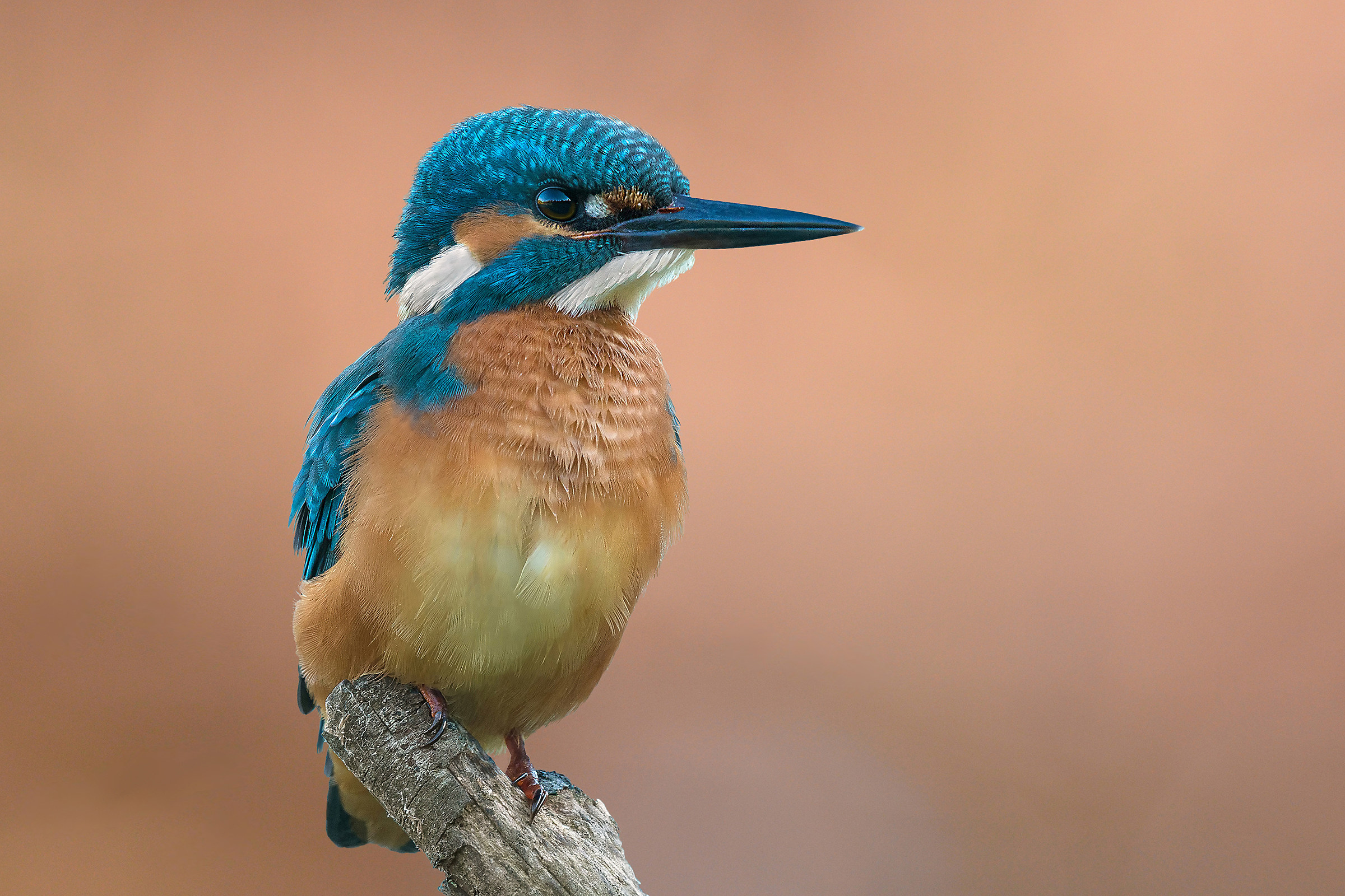 martina alle prime luci