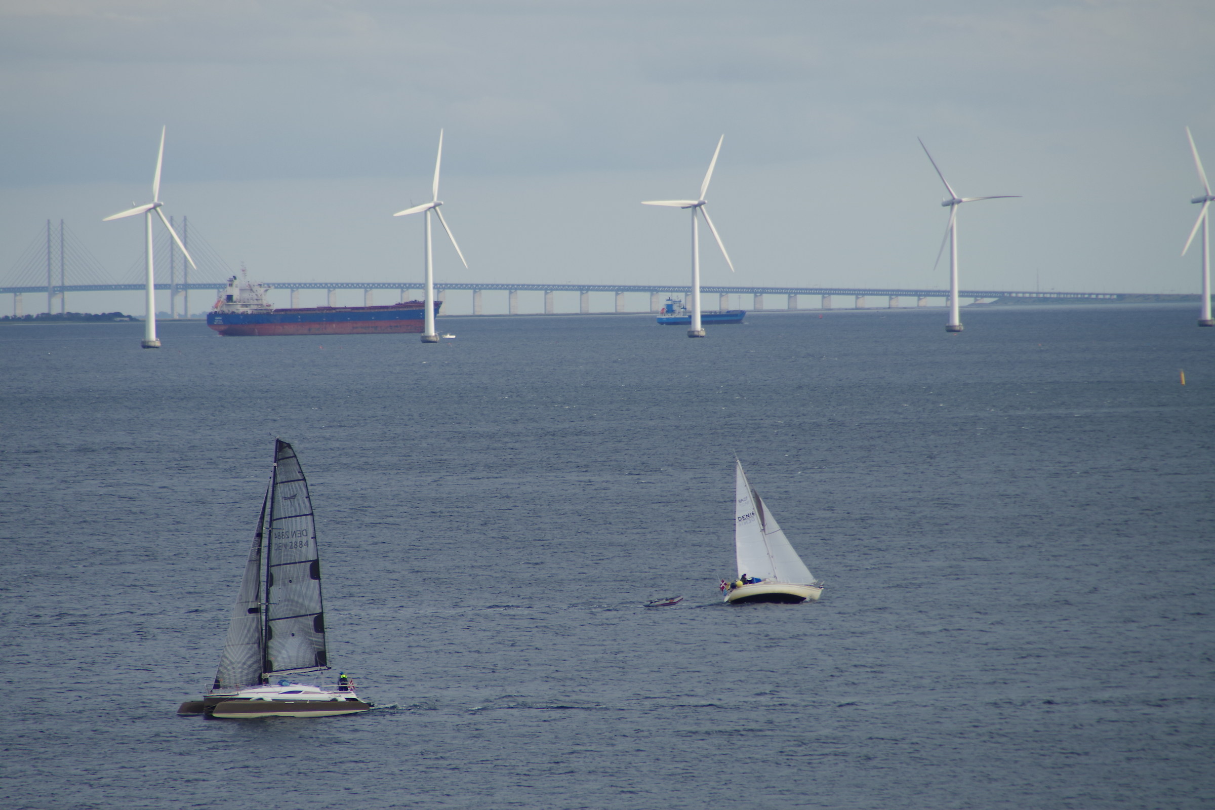 A look to the windy sea