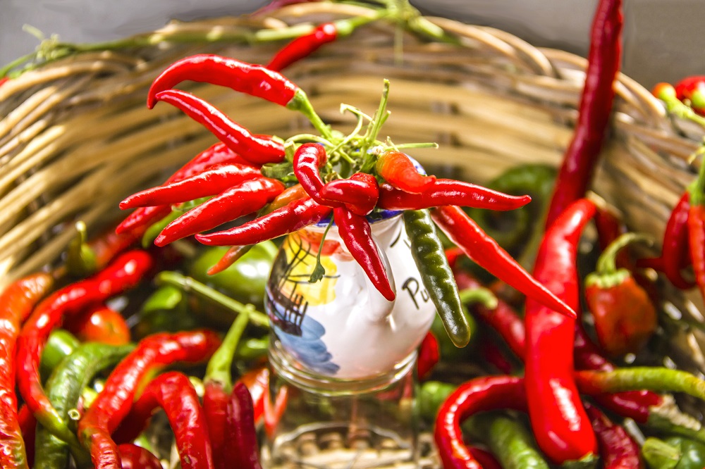 I due volti dell'Abruzzo