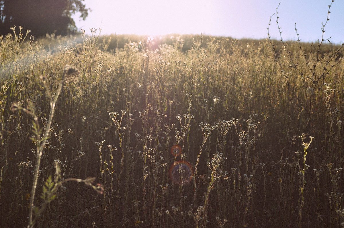 il sole e i suoi effetti