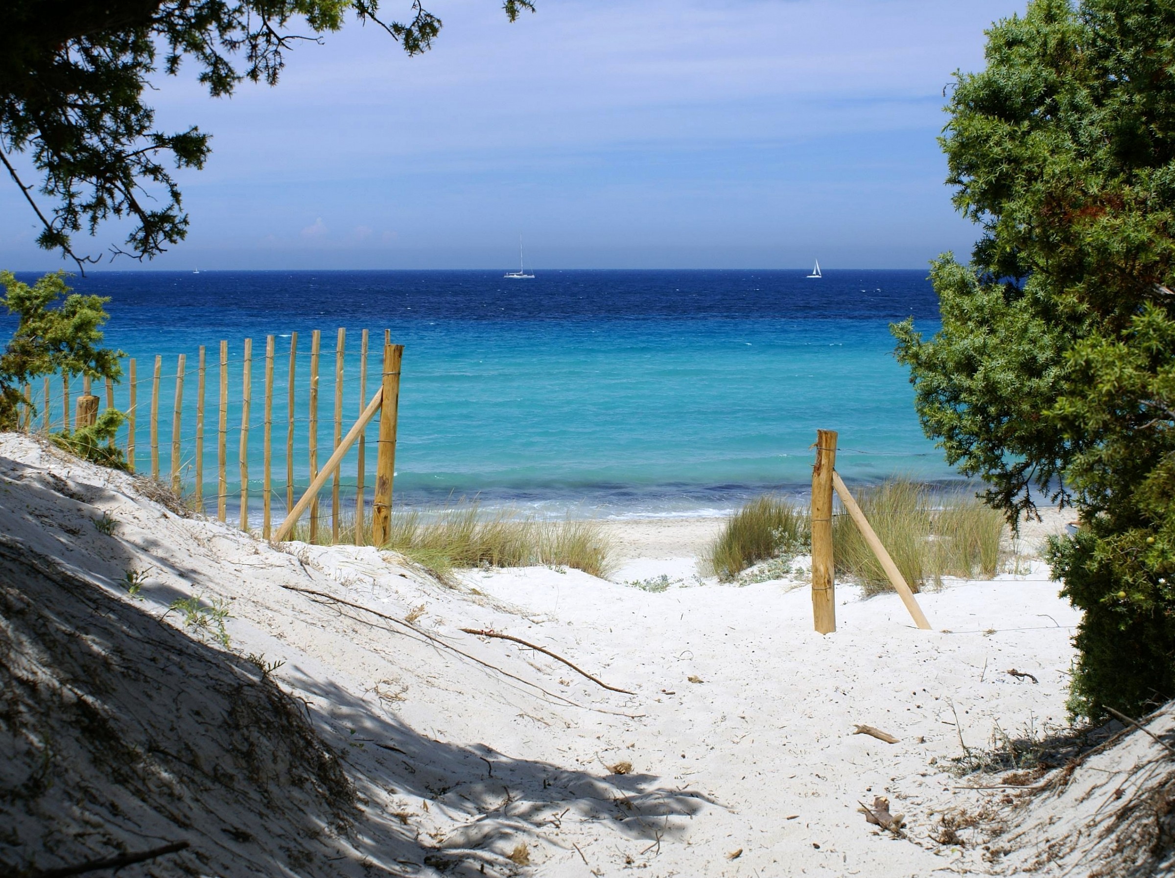 A world of white and blue