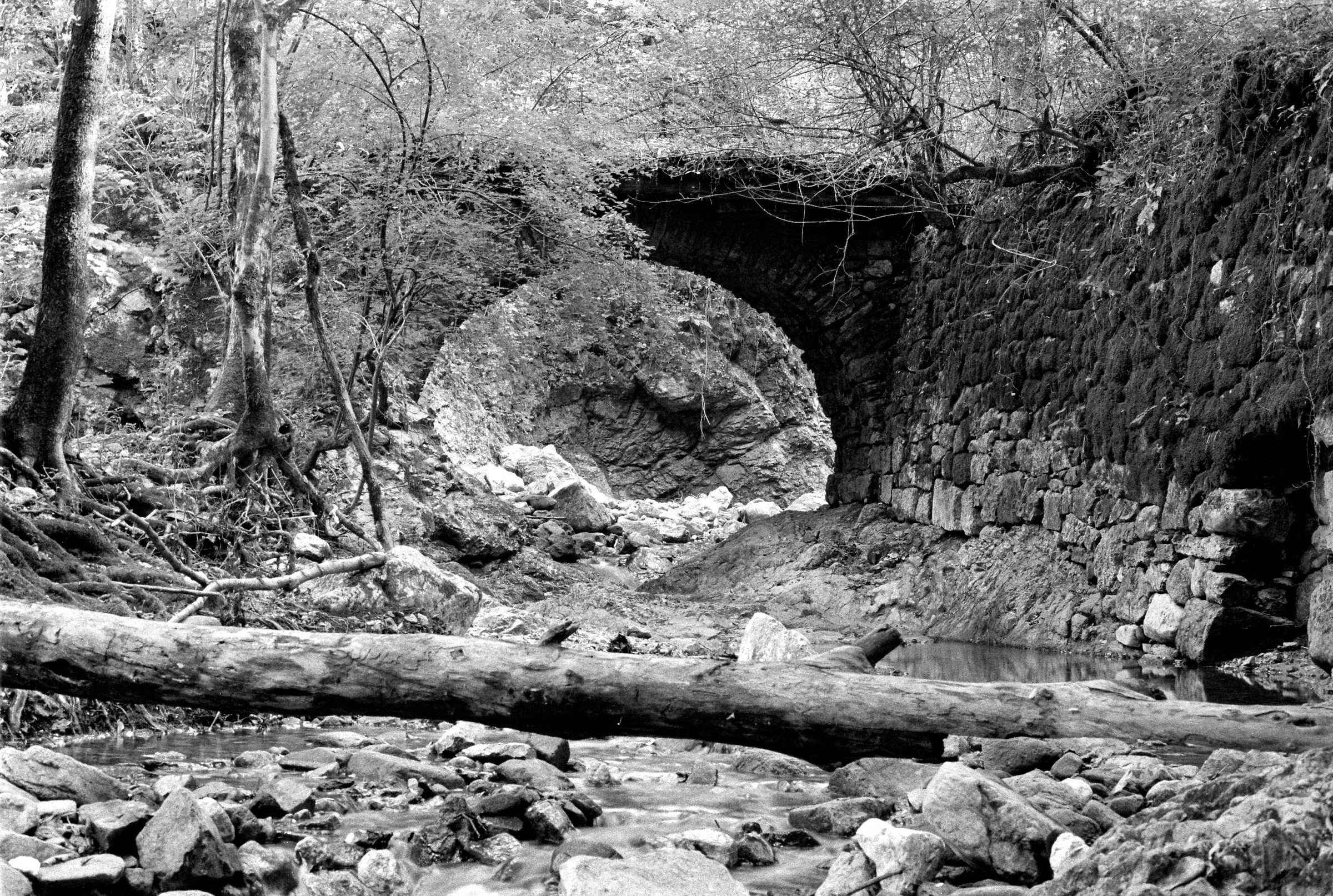 Ponte sull'Acquasaliente