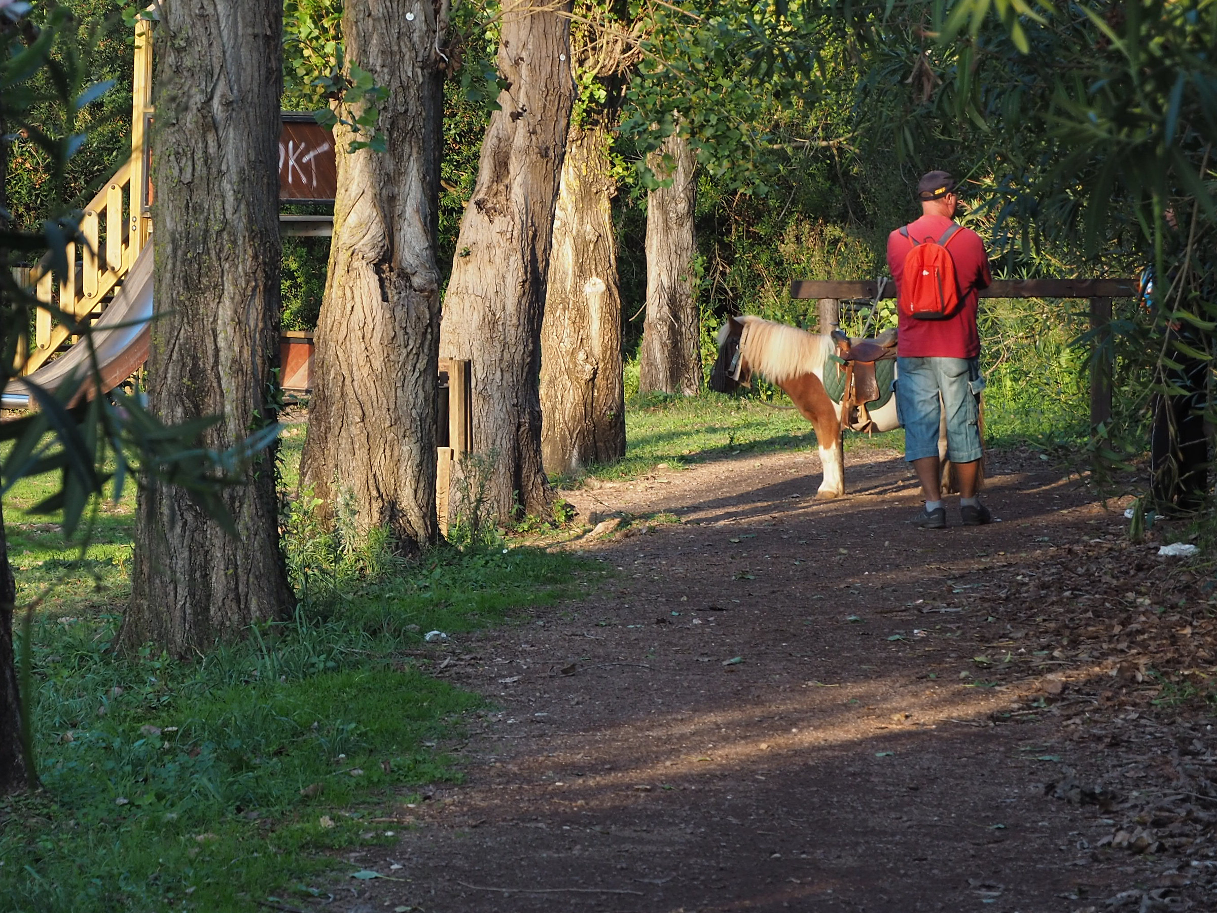 Il pony ed il fantino