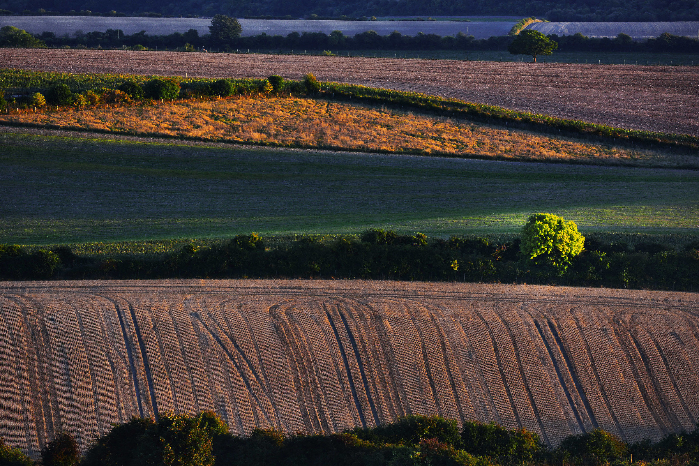 Segmenti (Last Light nella struttura)