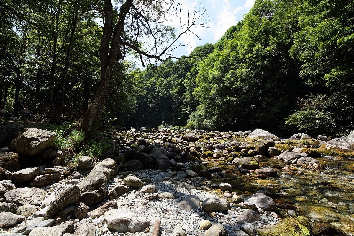 stretch of the river in the municipality of Pesio Lock Pesio...