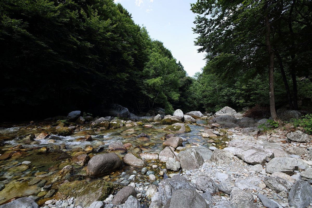 stretch of the river in the municipality of Pesio Lock Pesio...