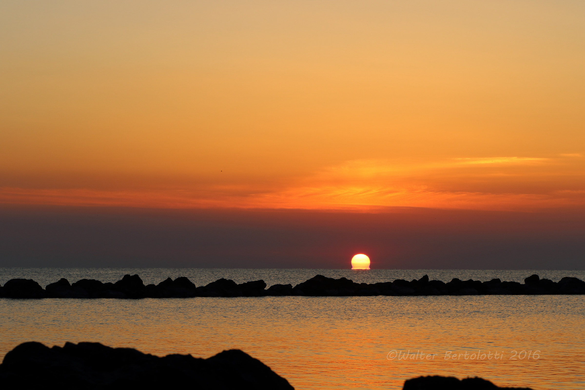 the dawn of the rally