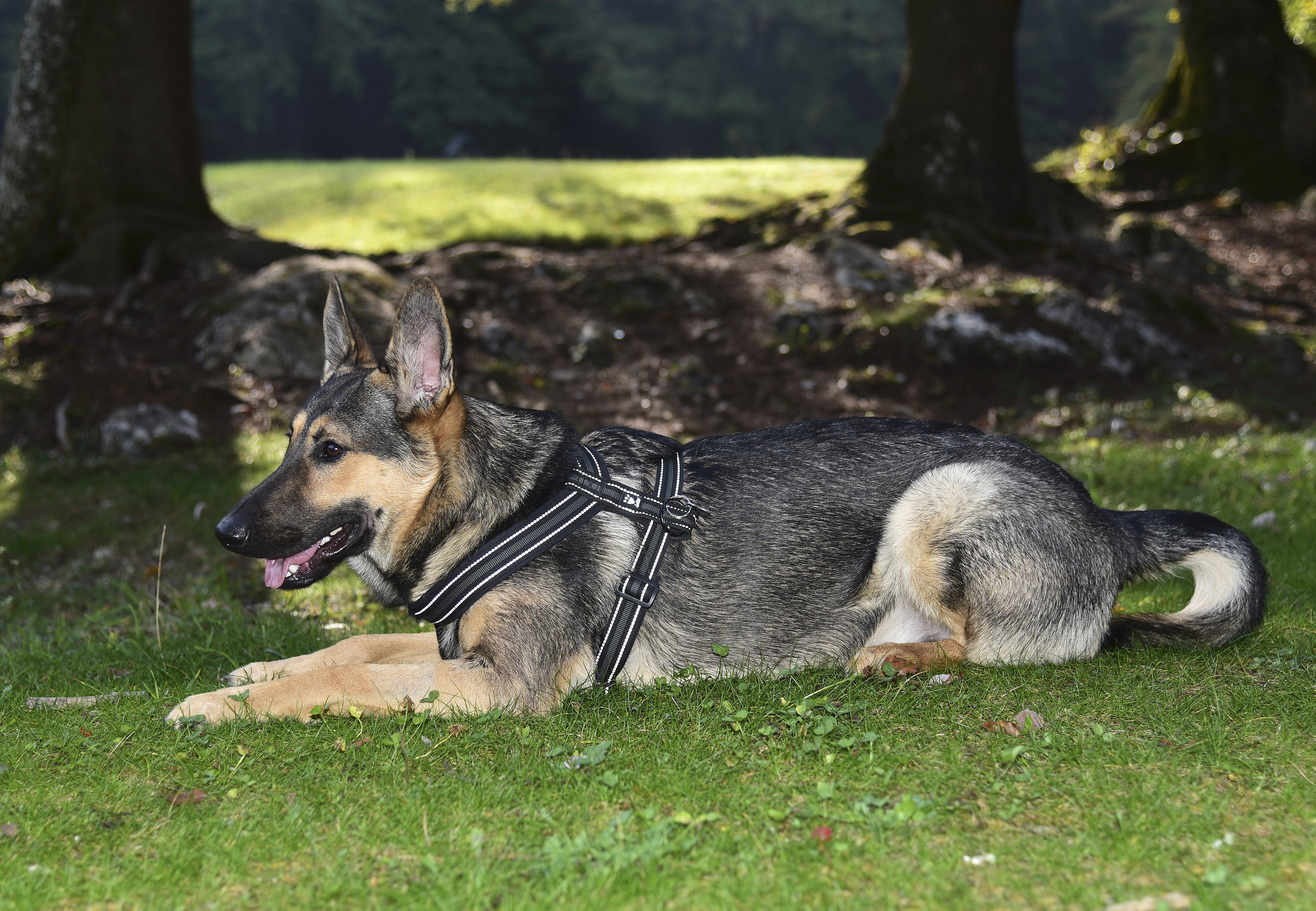 a little 'well-deserved rest