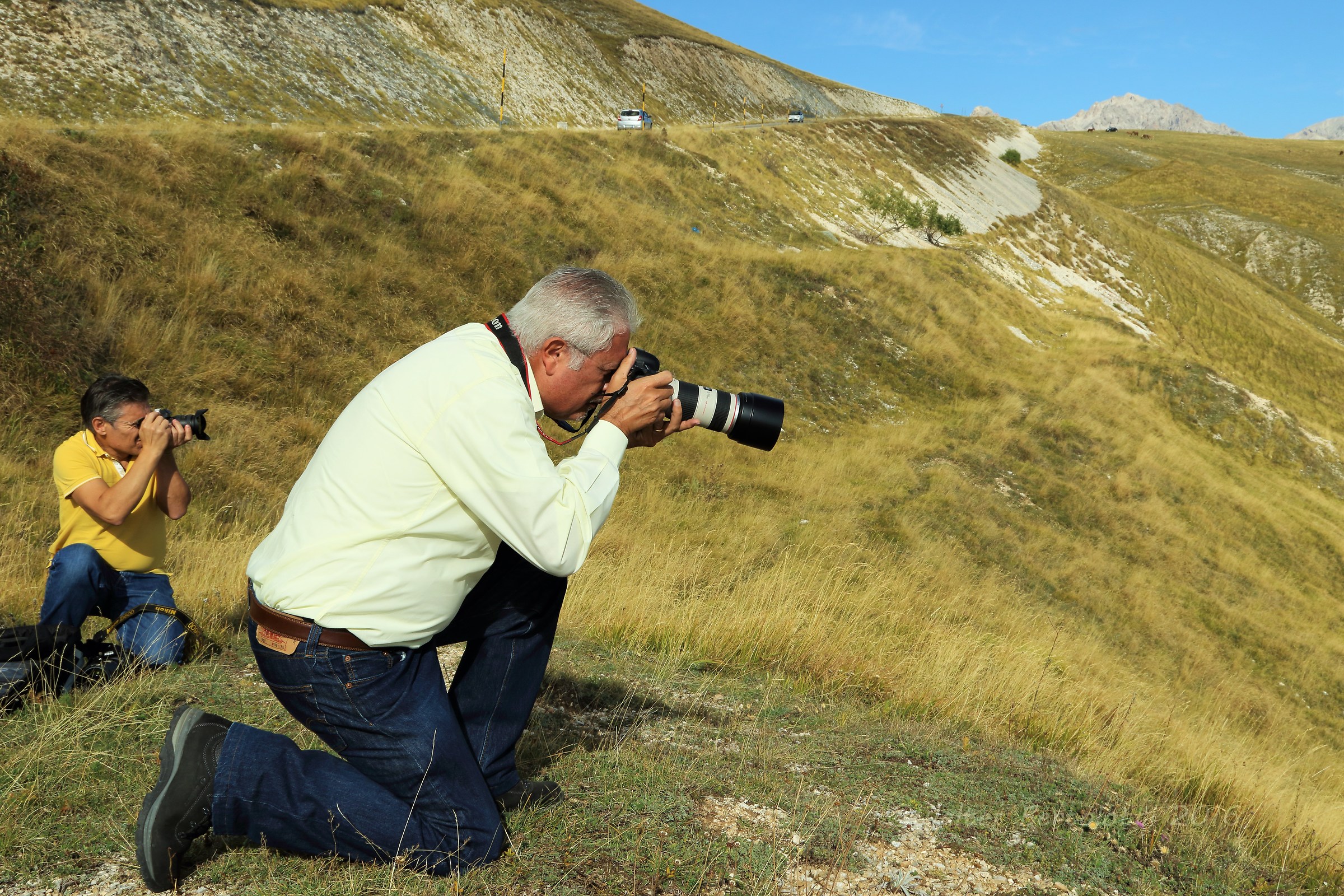 il "misterioso" Sommy16 e lo squalo "Pinnabia...