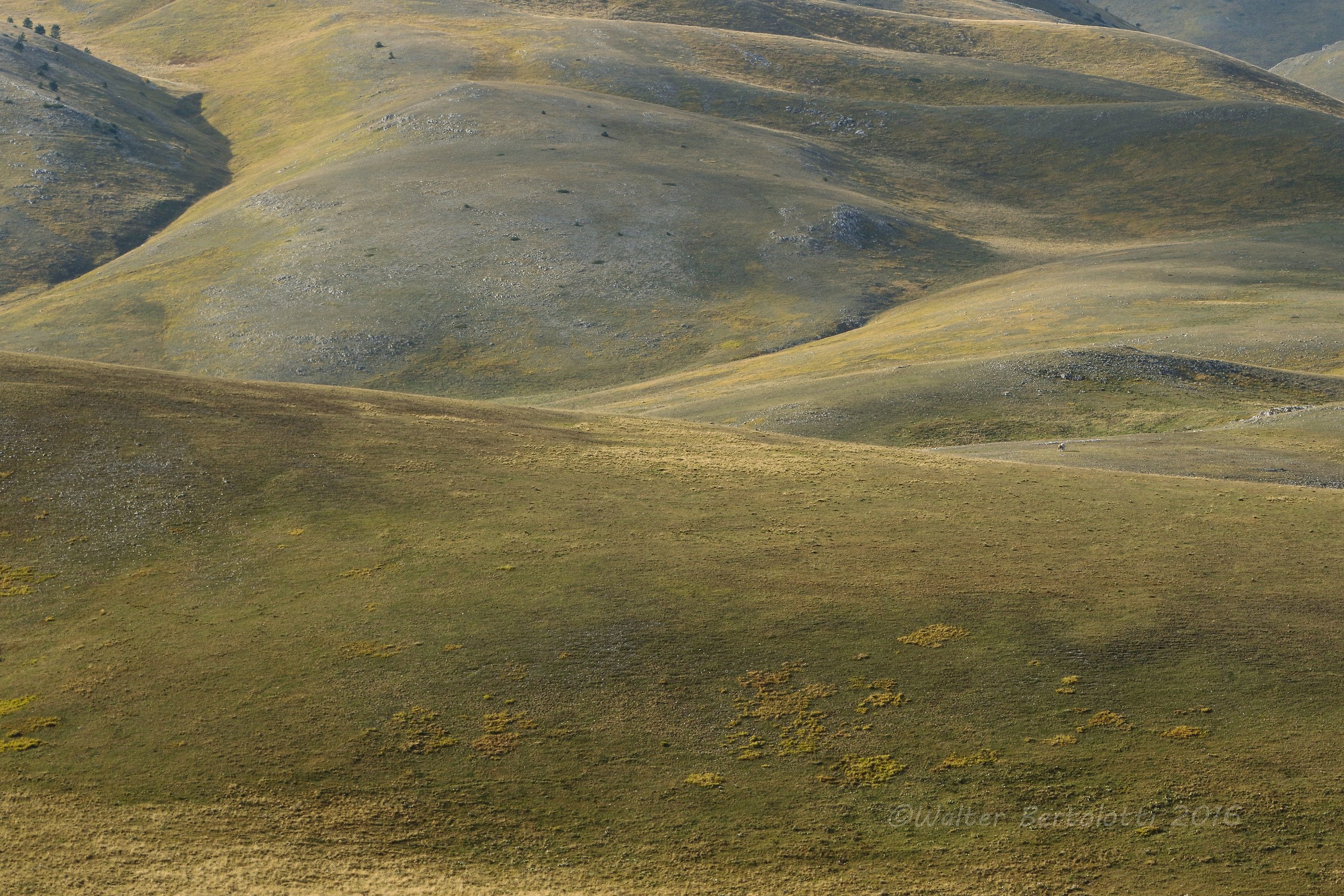 gentle green waves of Abruzzo