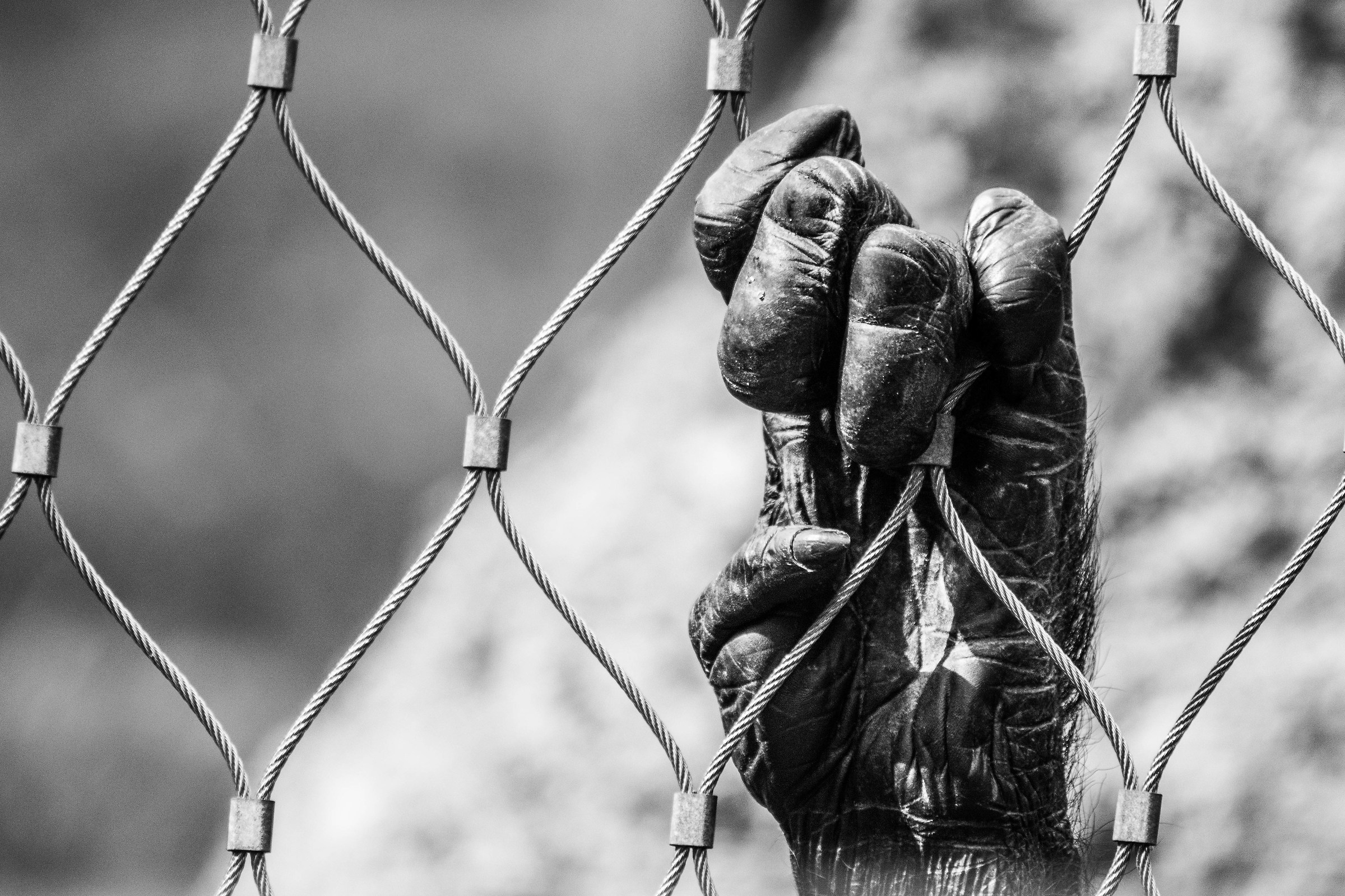 The steel between us