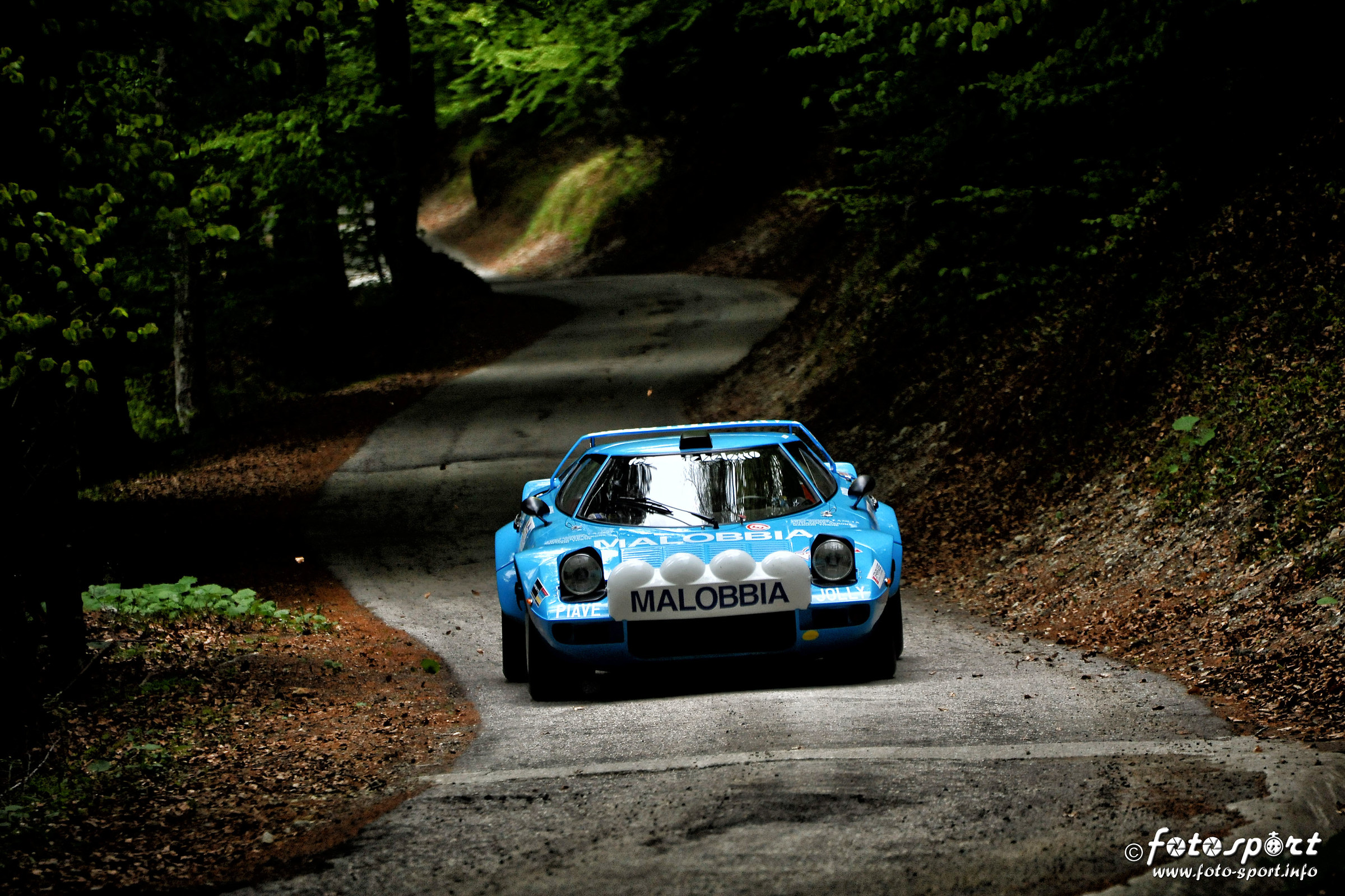 the queen of the forest