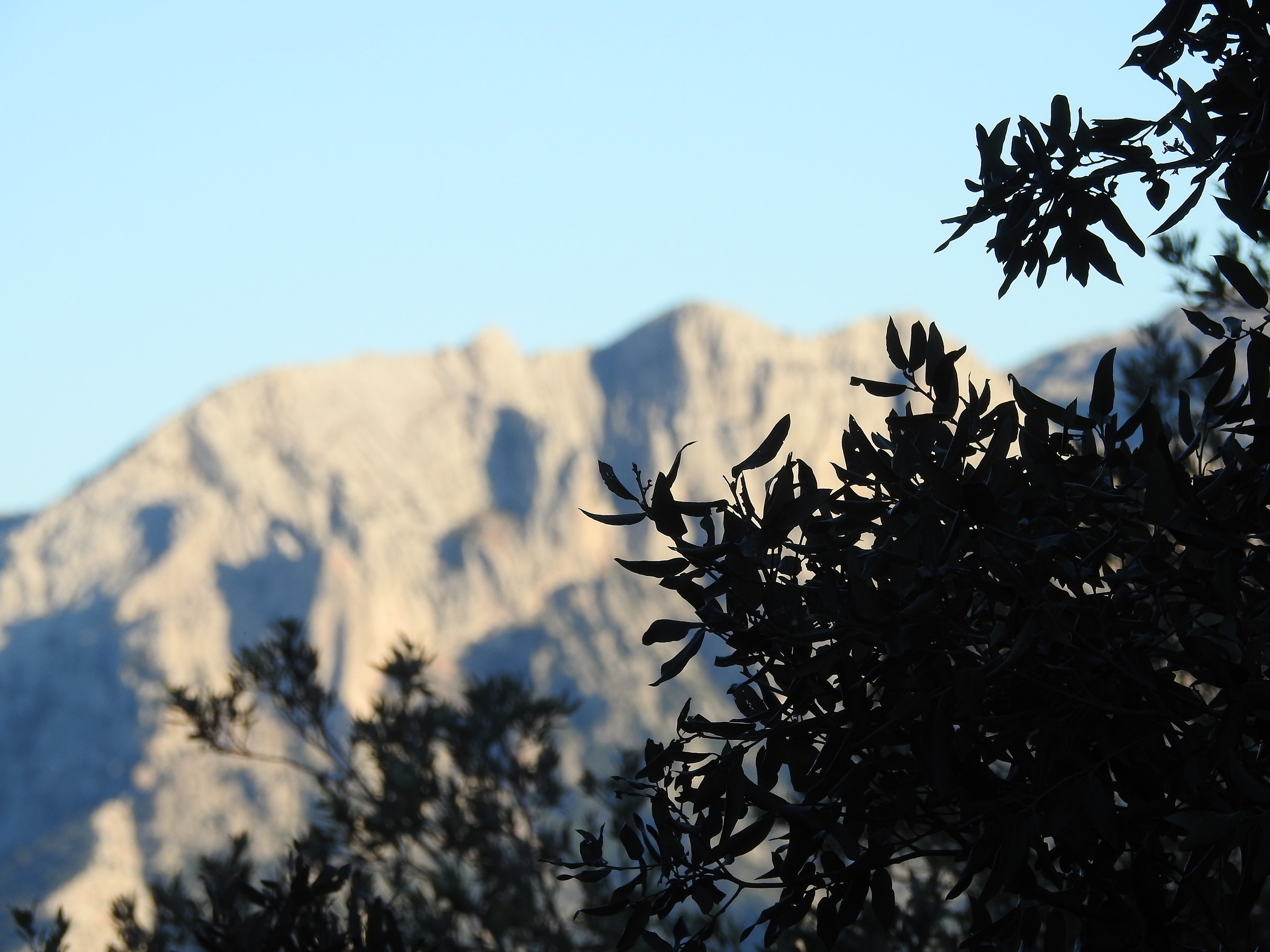 veduta monte corrasi nu