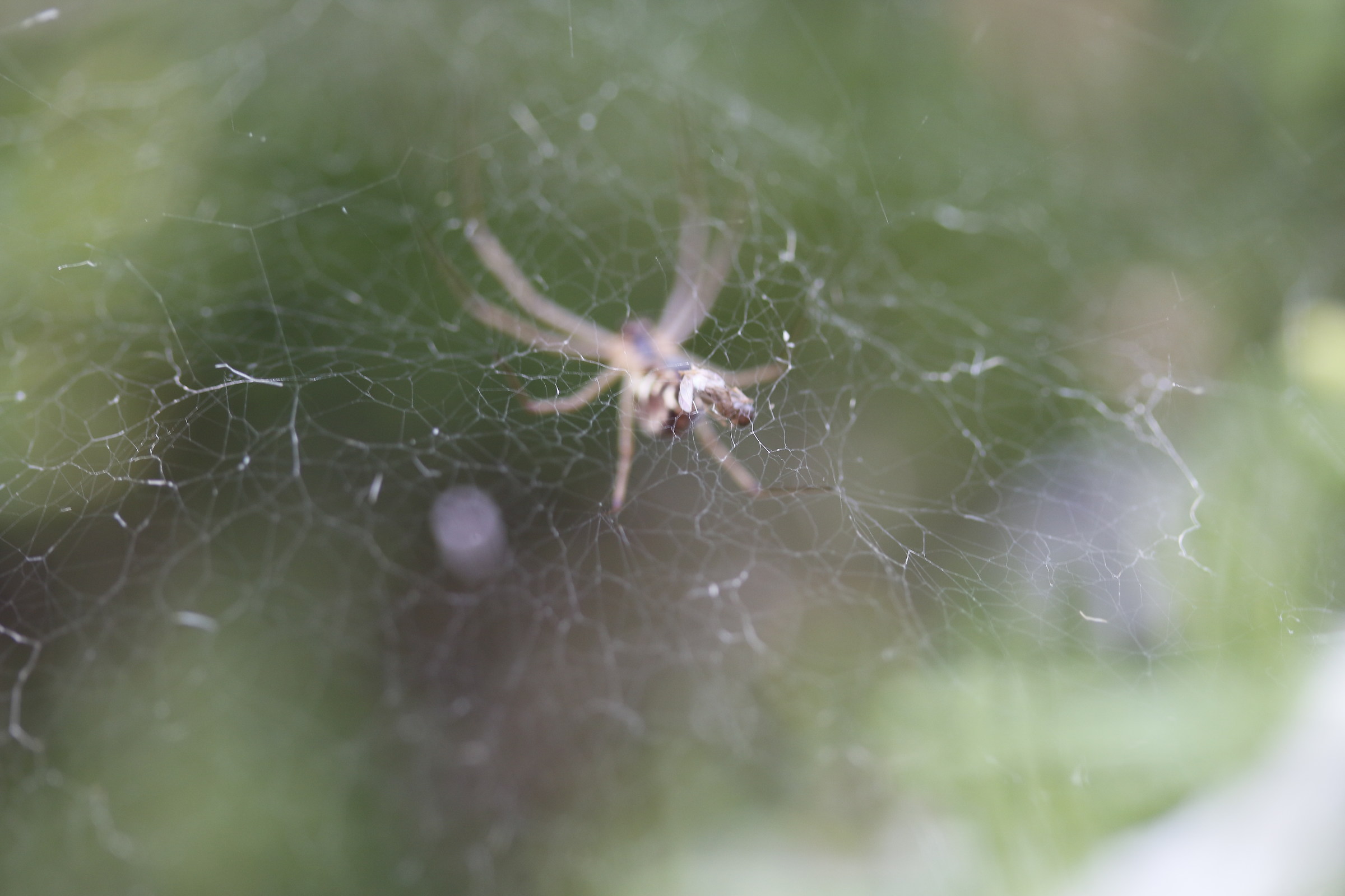 thrown ... which is soft ...