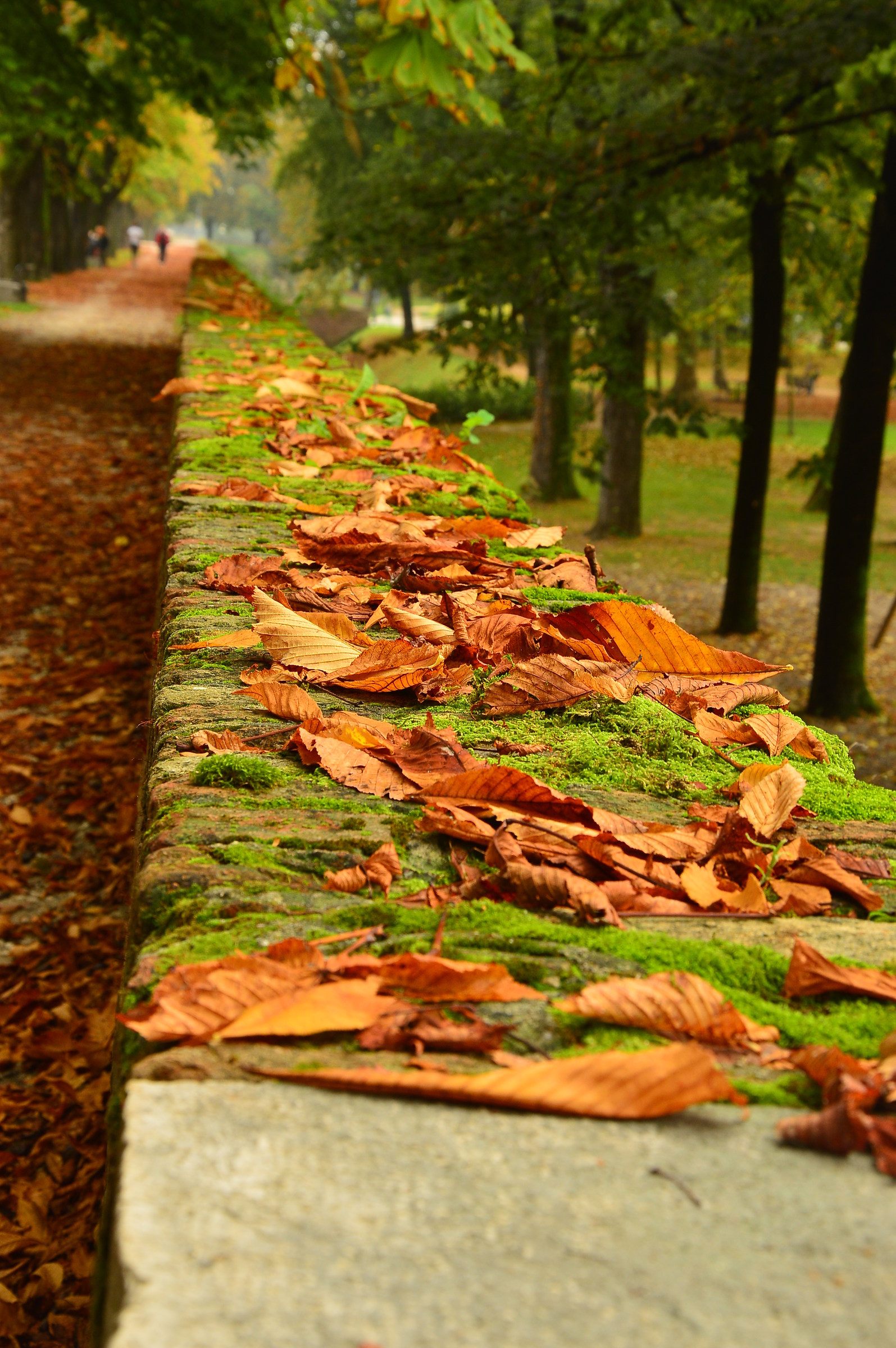Le mura di Treviso in autunno