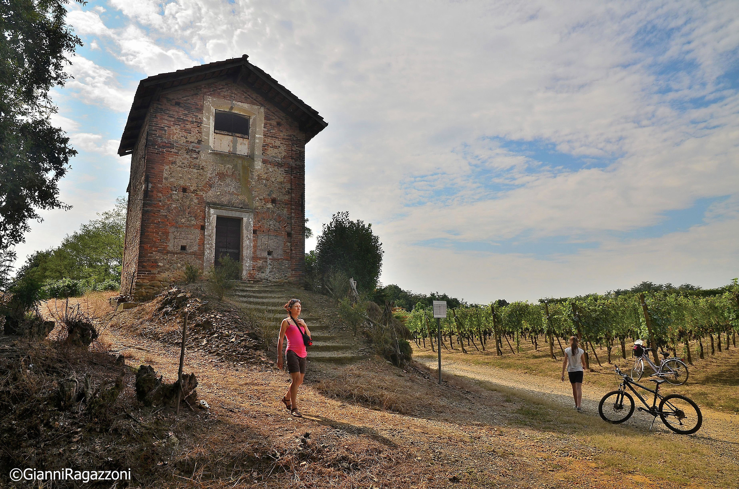Giro in bici tra i vigneti di Ghemme e Sizzano