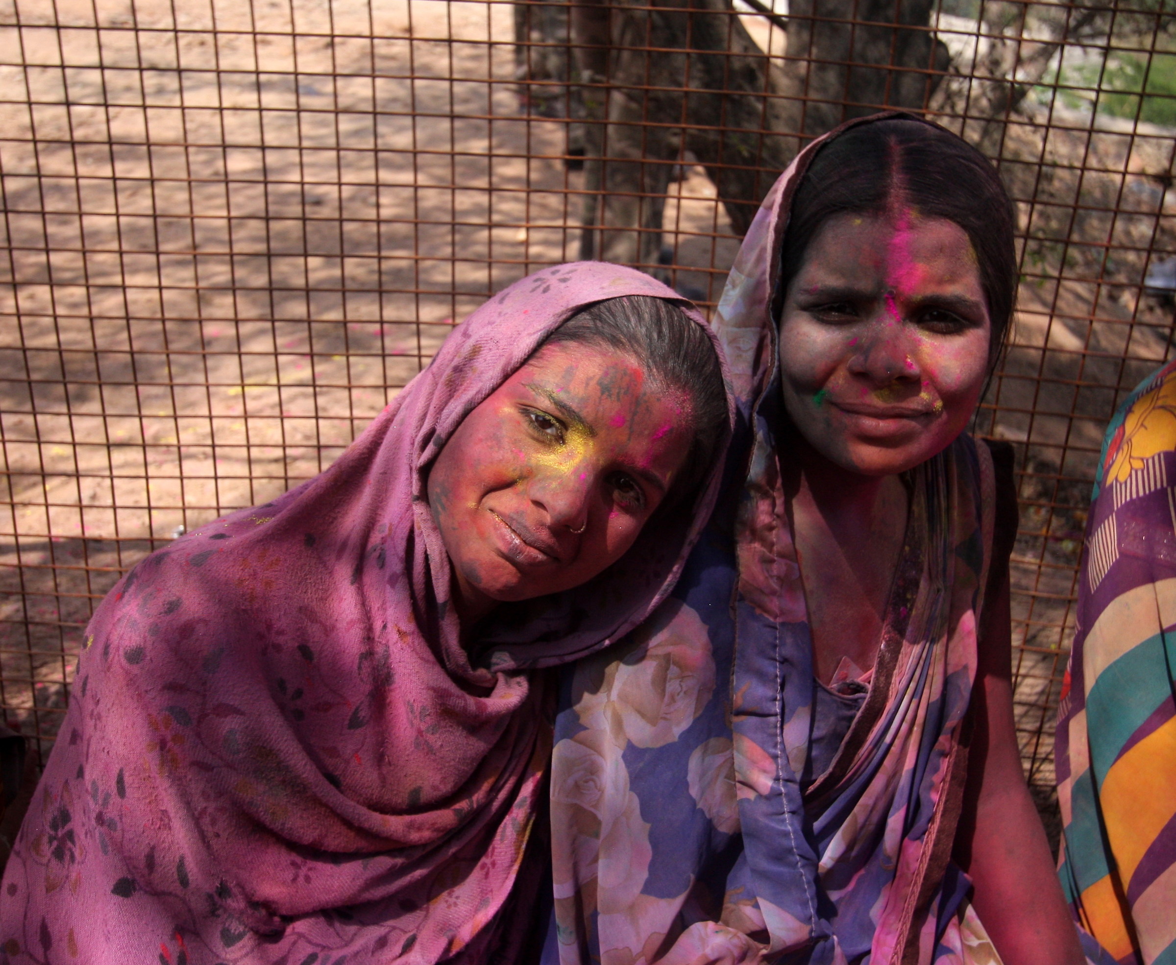 Holi Festival