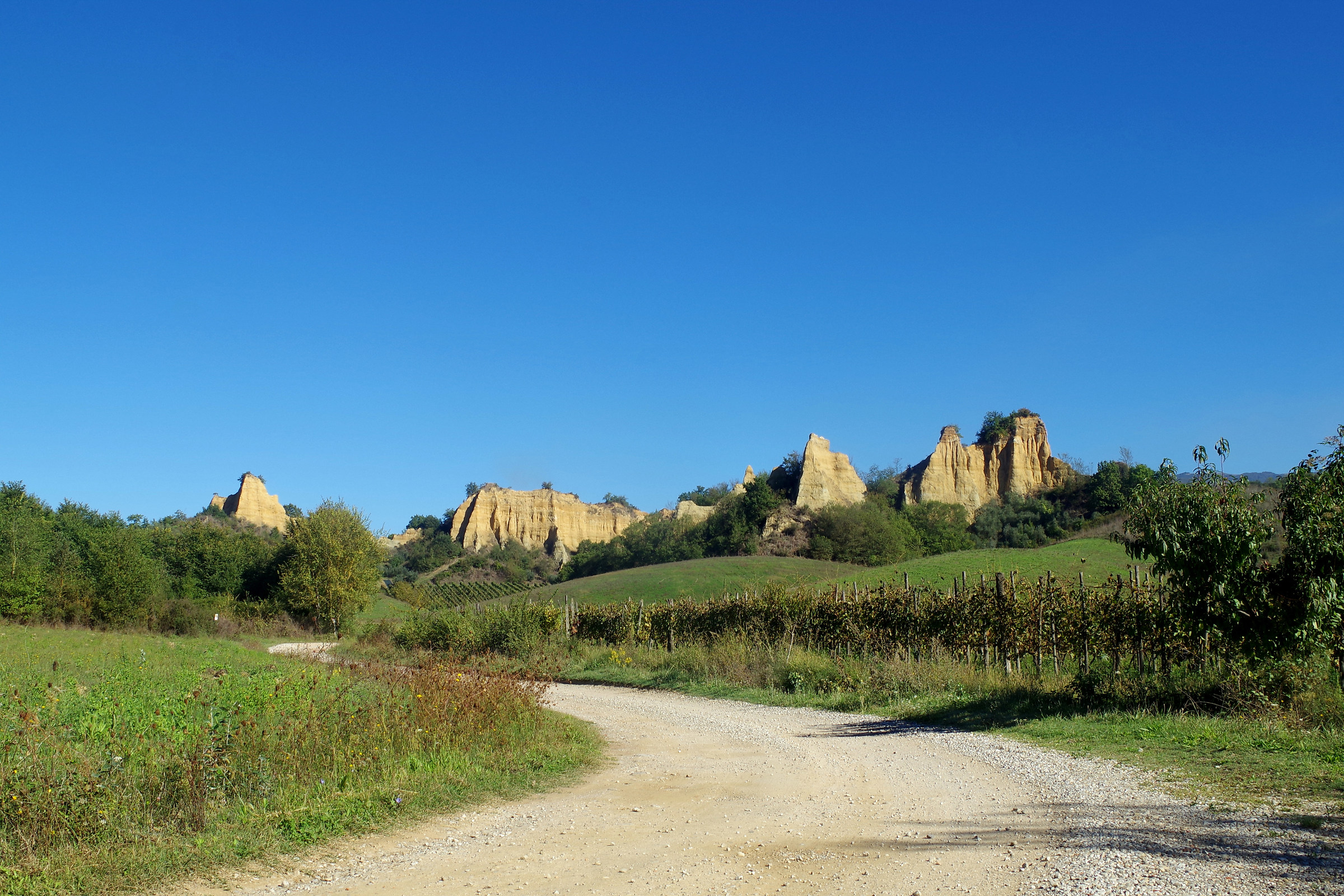 Riguzze Memories of a Marriage