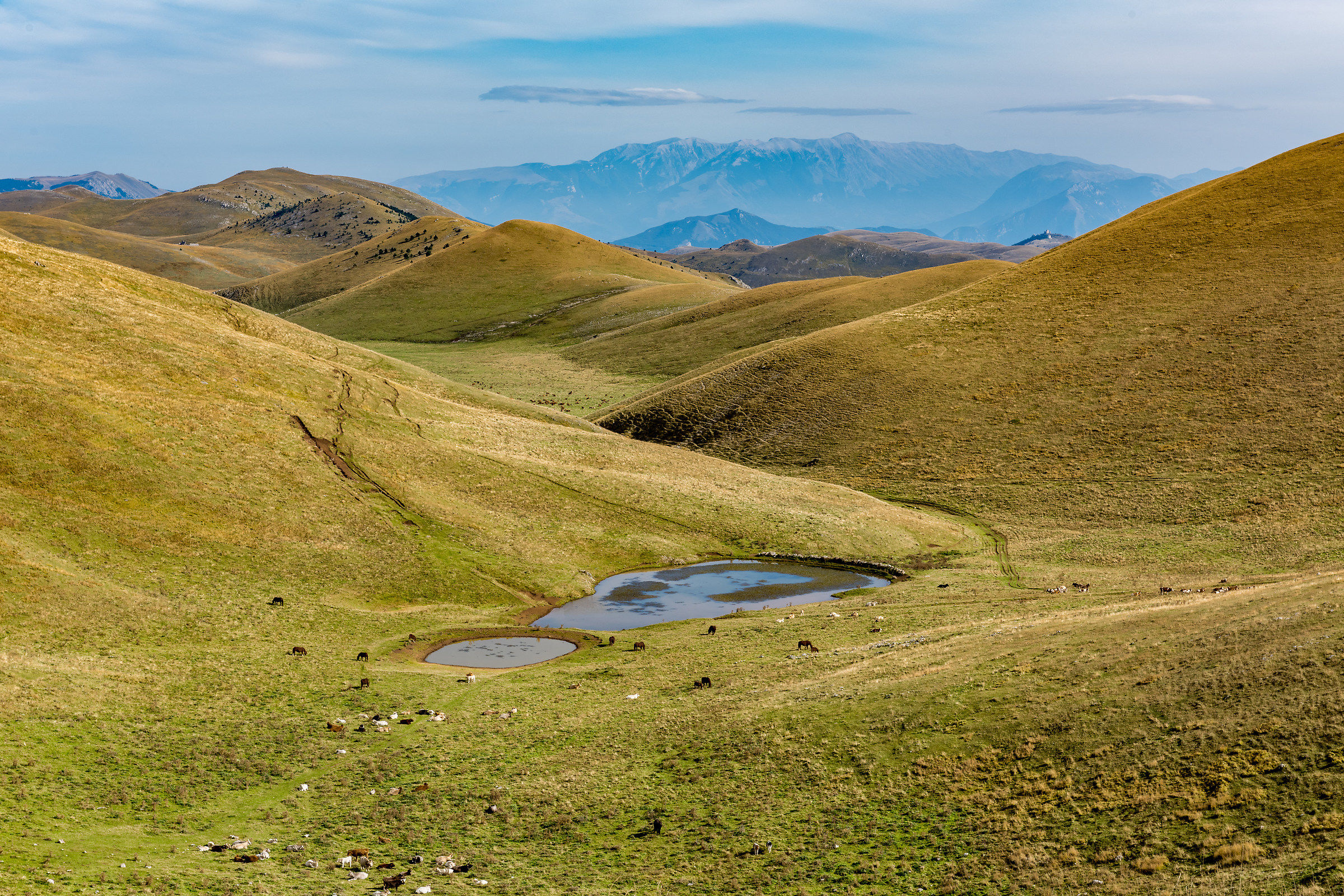 Tra pascoli e montagne in un paesaggio mozzafiato
