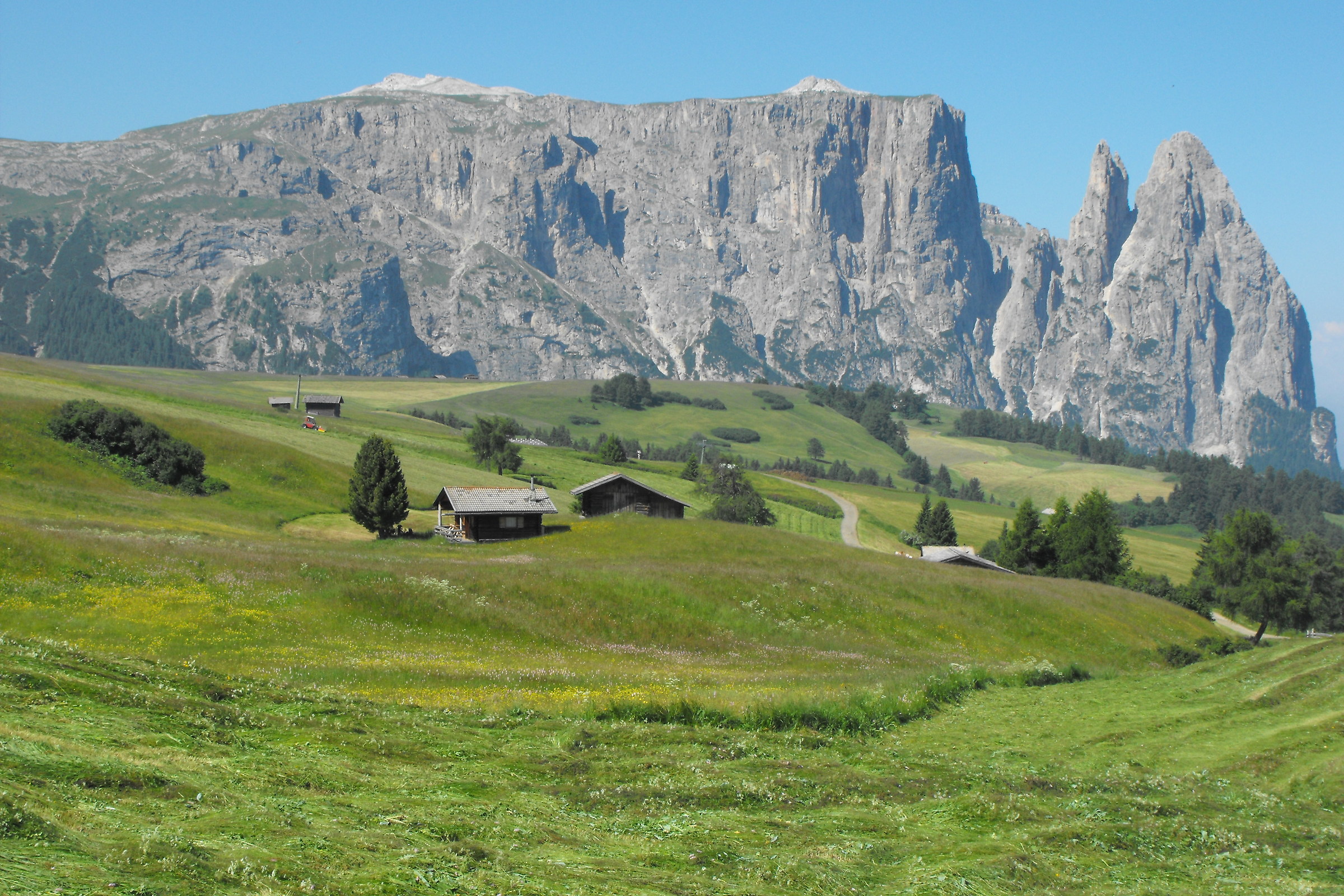 Alpe di Siusi
