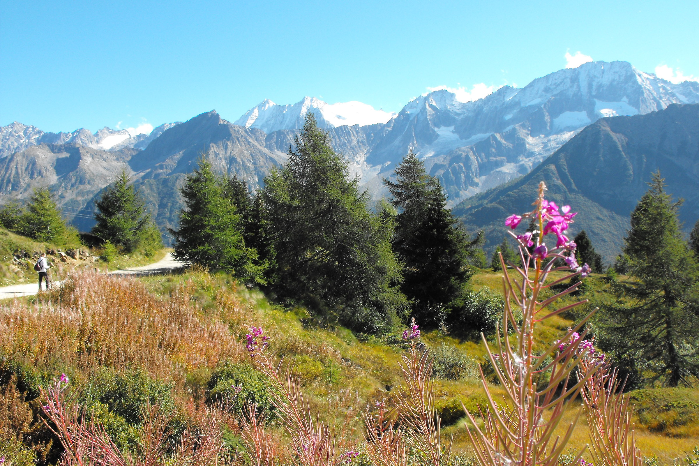 Just above the Passo del Tonale