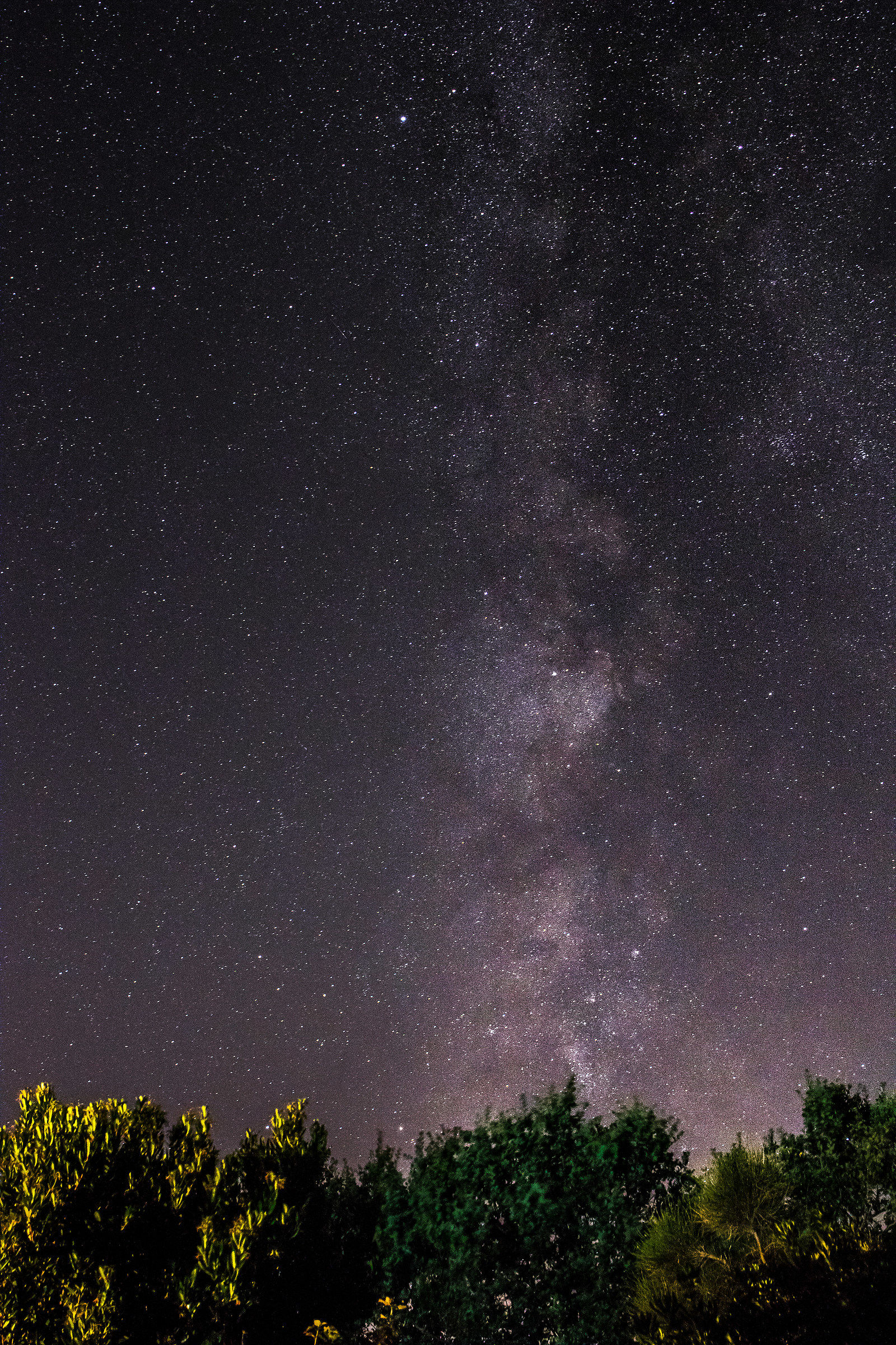 My first shooting session milky way