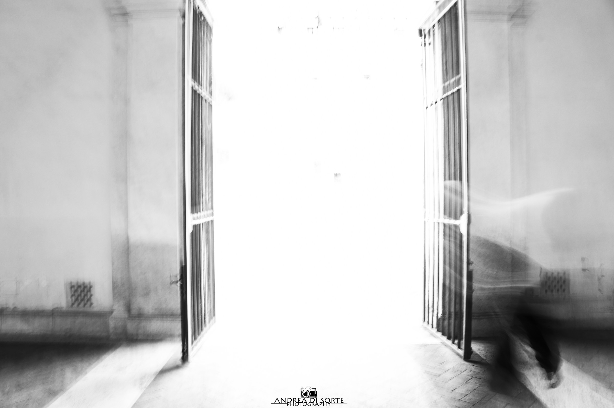 Me lo immagino così...