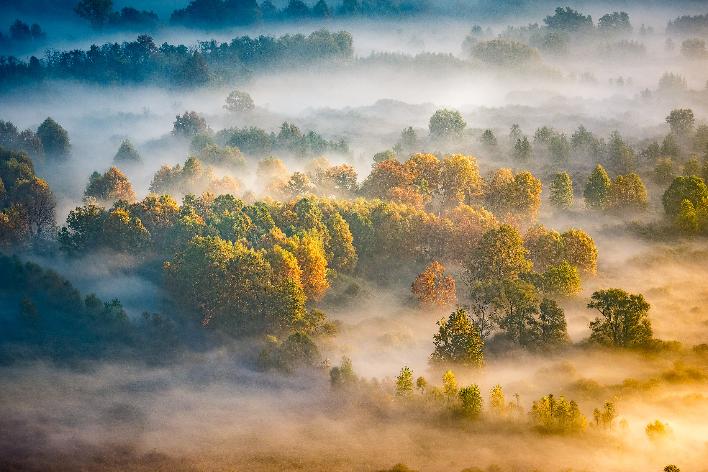Schieramento d'autunno