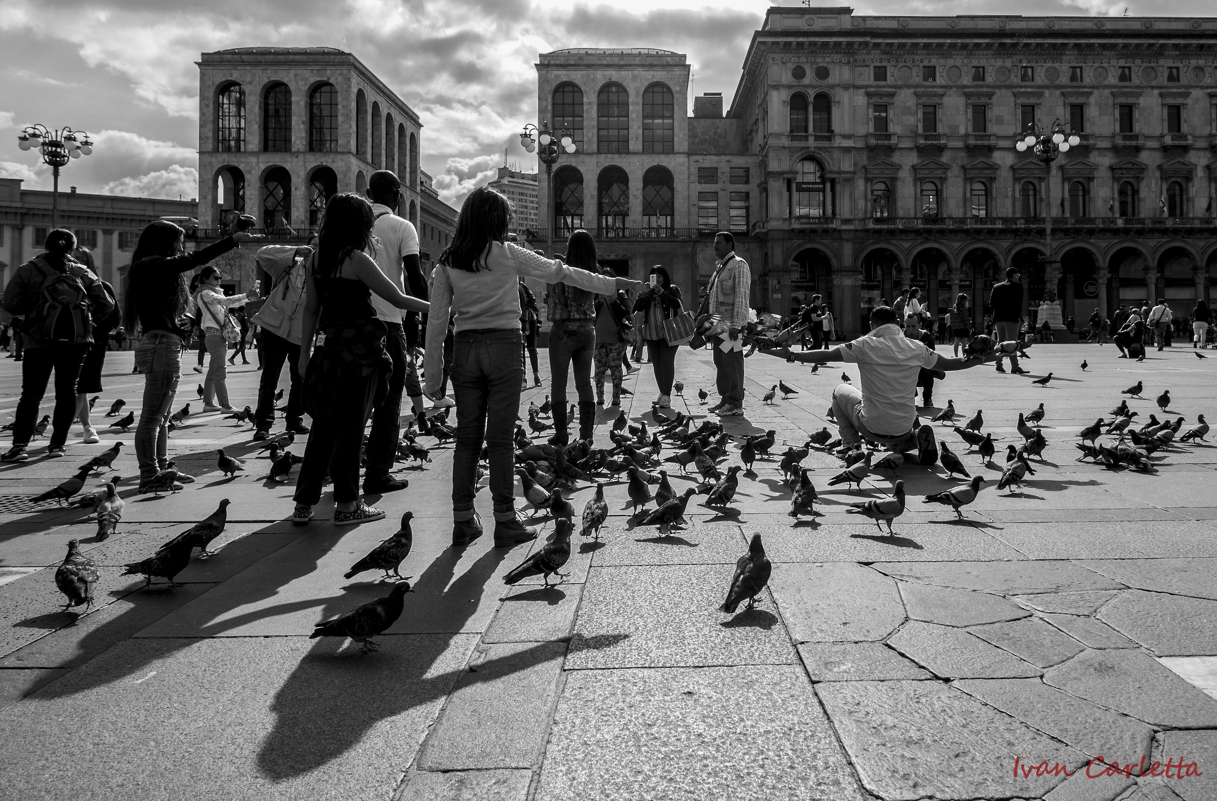 braccia tese ai piccioni