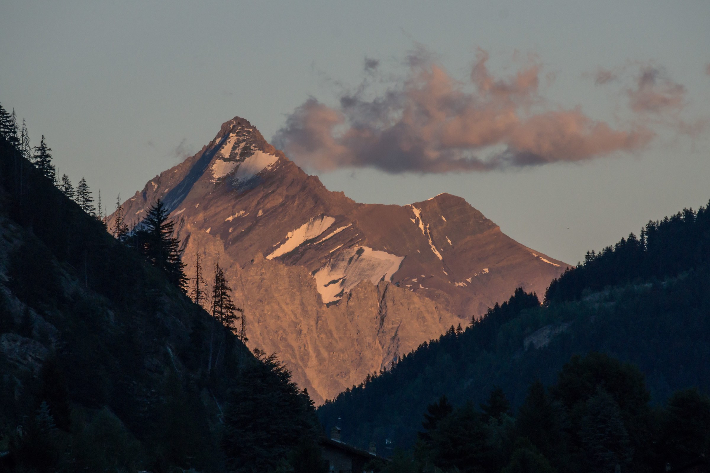 The Grivola (Gran Paradiso massif) from Dolonne - 1