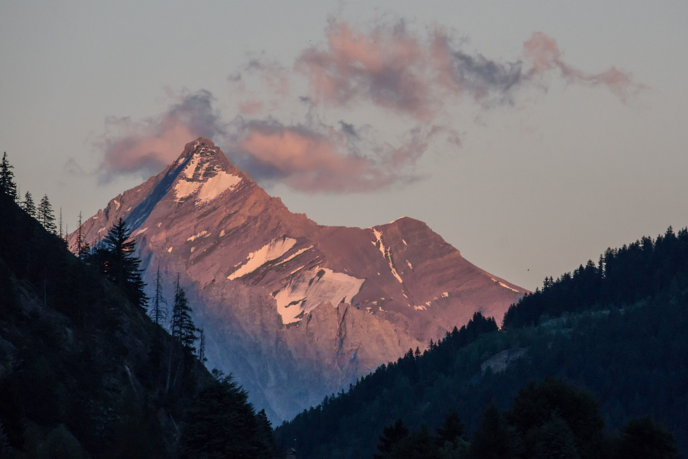 The Grivola (Gran Paradiso massif) from Dolonne - 2