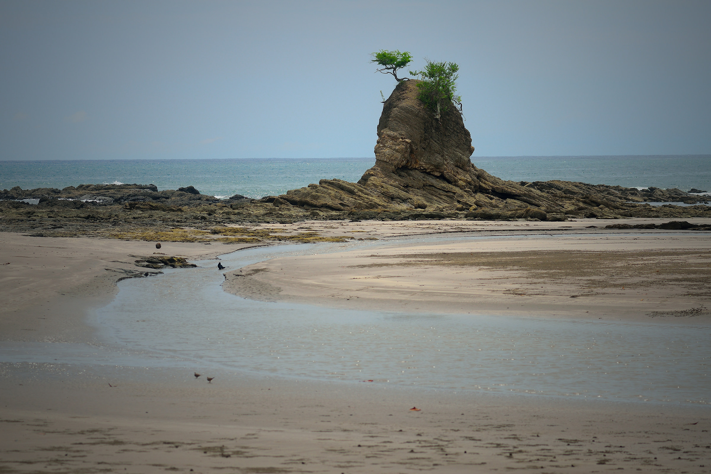 Attaccate alla vita ( Costarica )