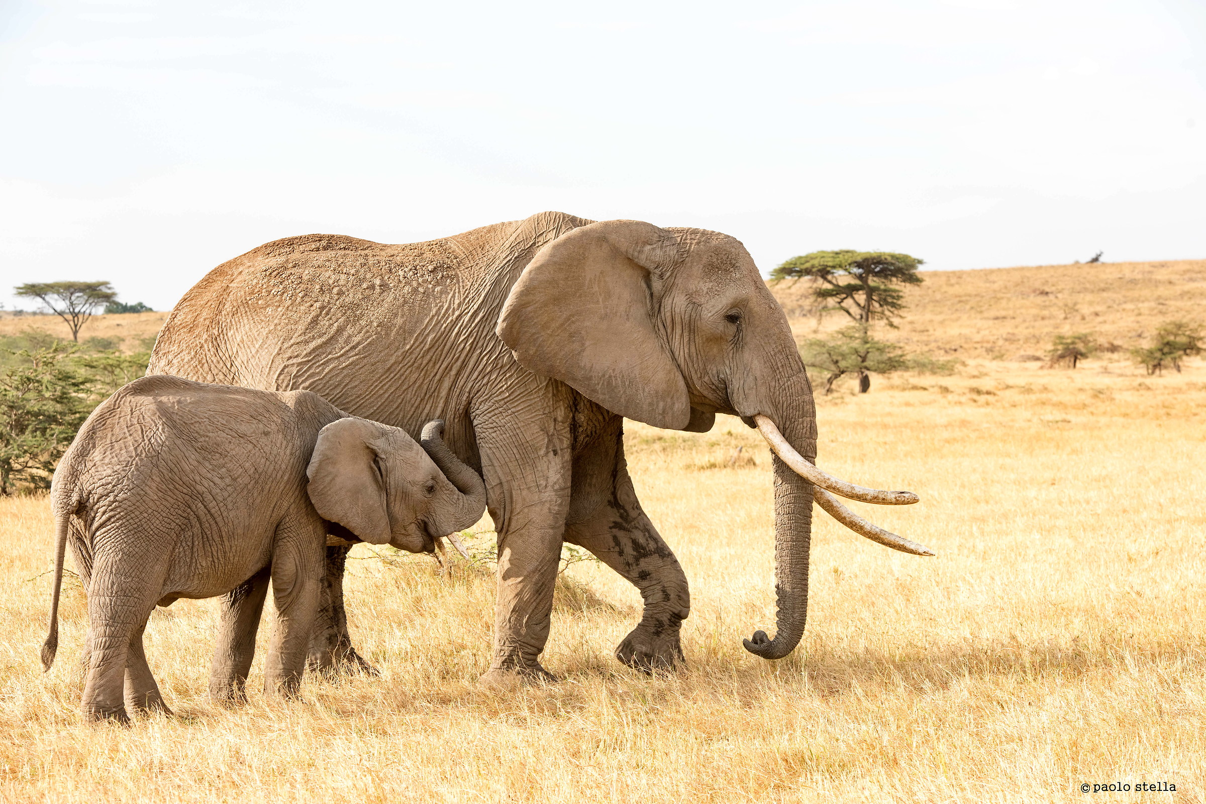 mamma dammene ancora!