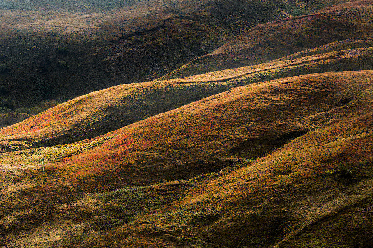 A spot on blueberries