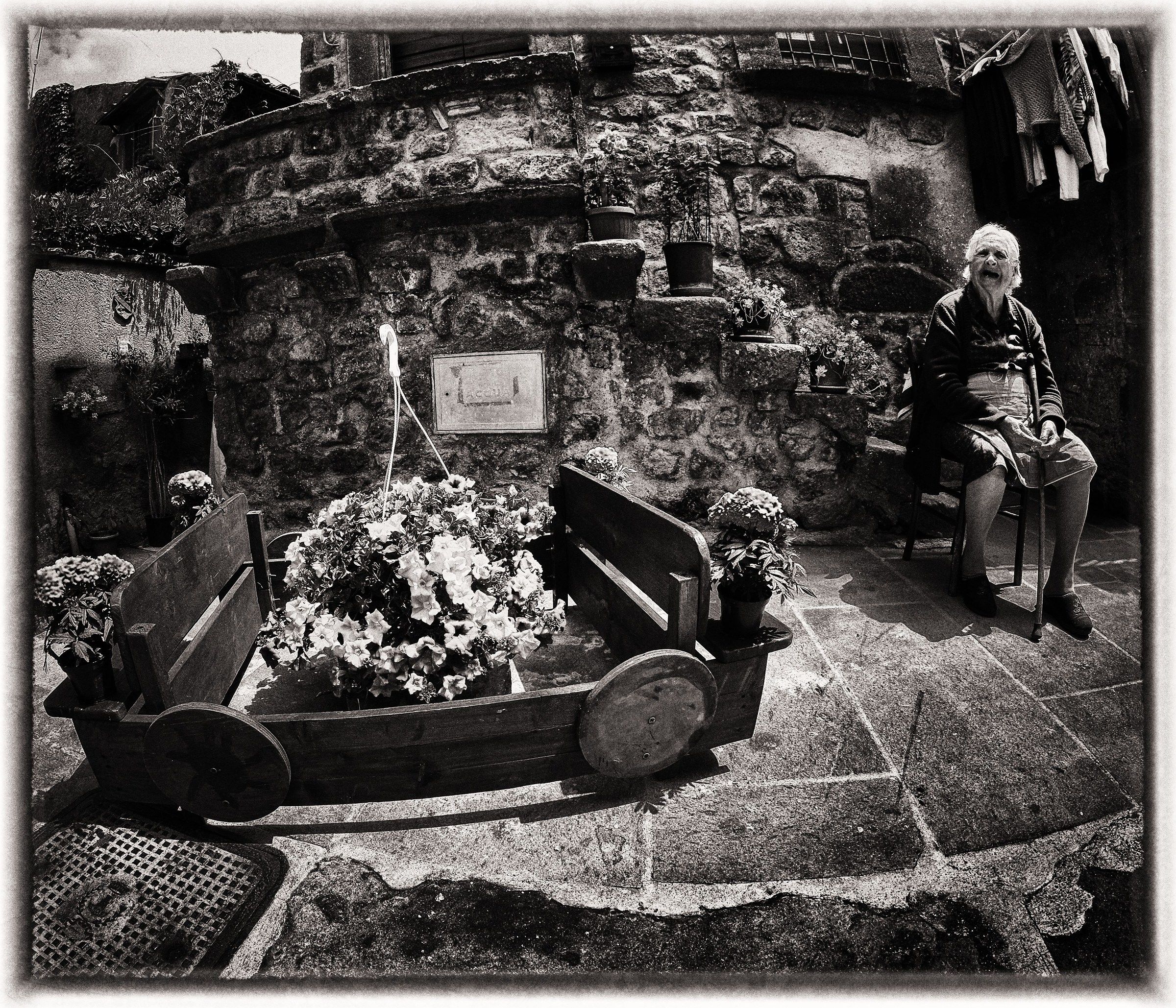 aspettando una nuova primavera