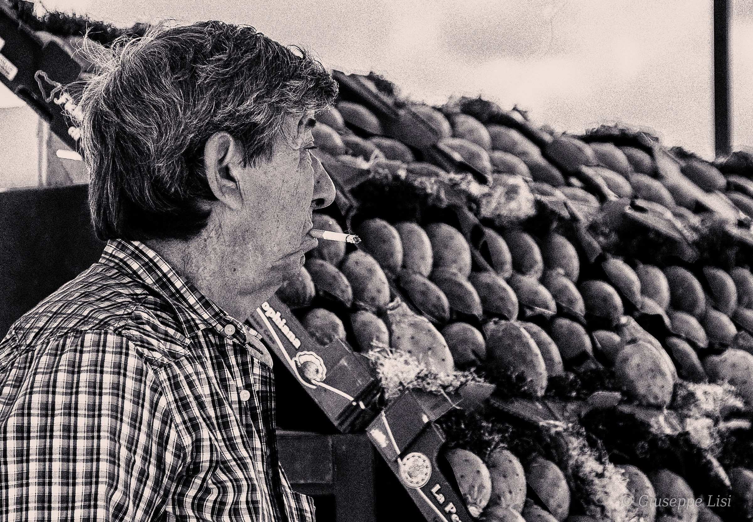 The seller of prickly pears