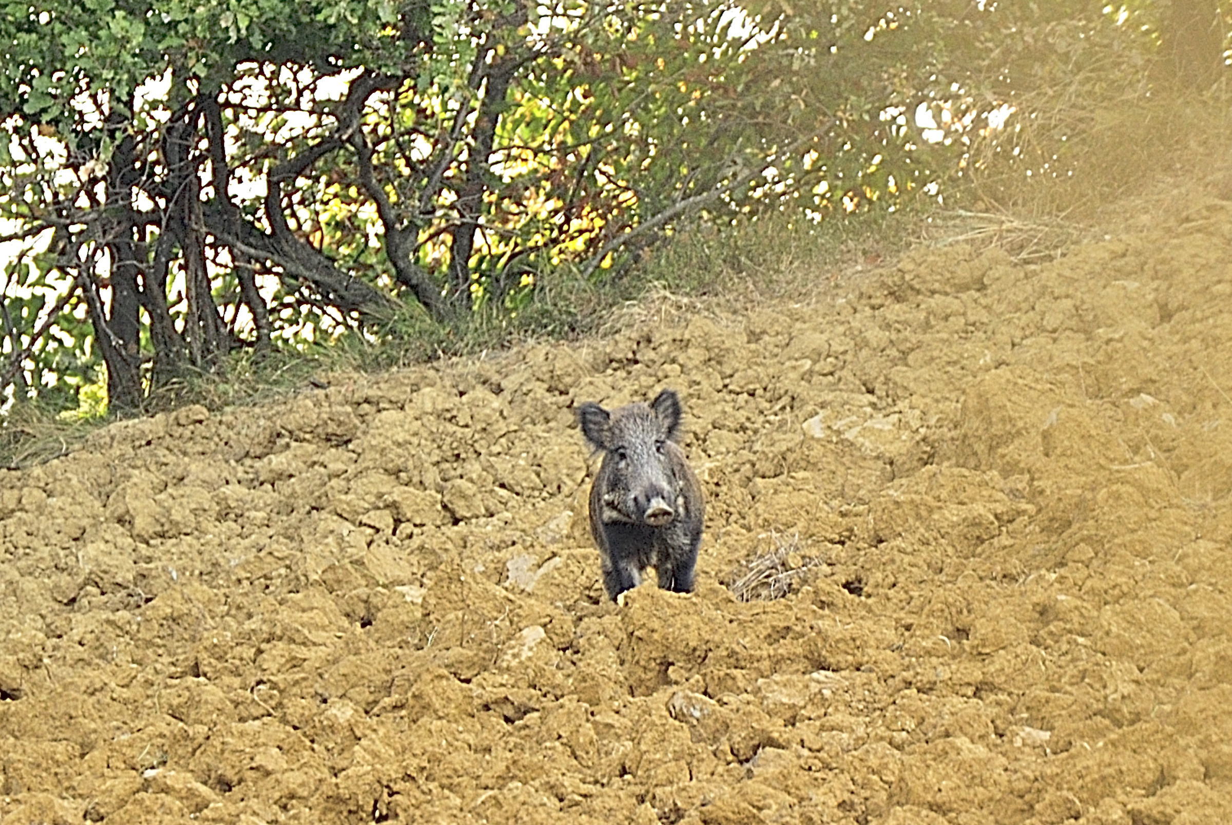 Toh ... another who wants to photograph me