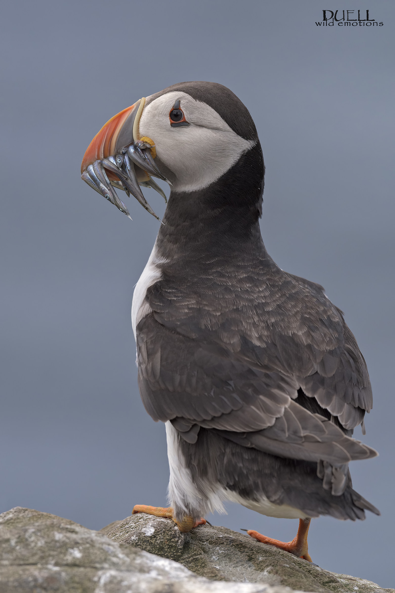 colazione vista mare