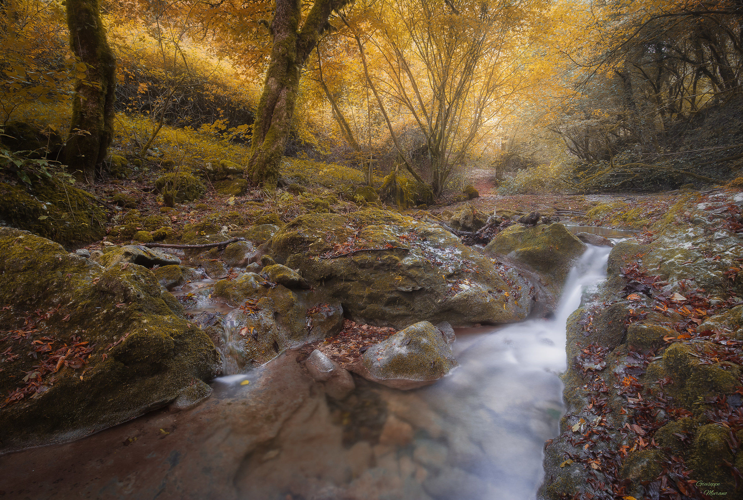 Atmosphere autumn ..